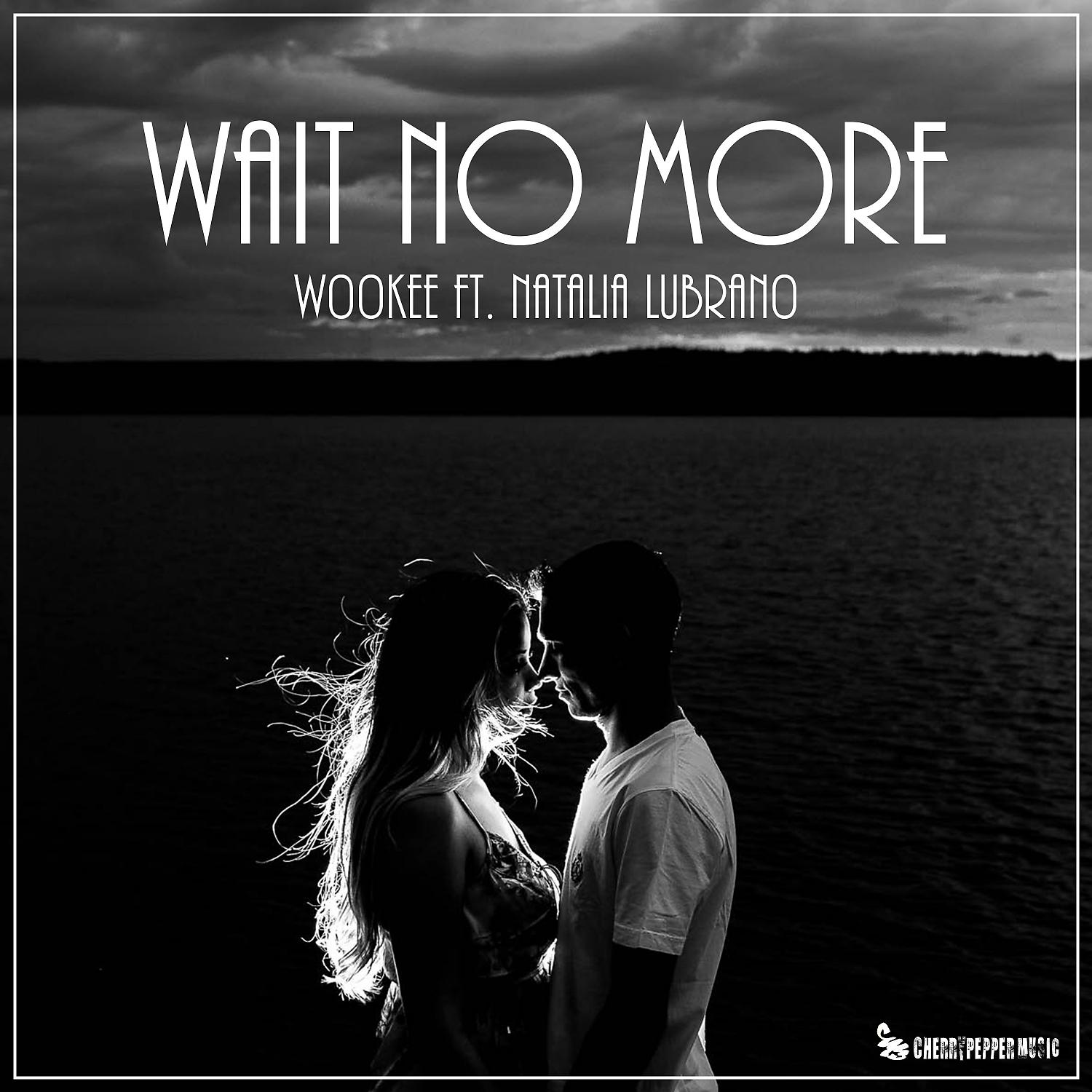 Постер альбома Wait No More (feat. Natalia Lubrano)