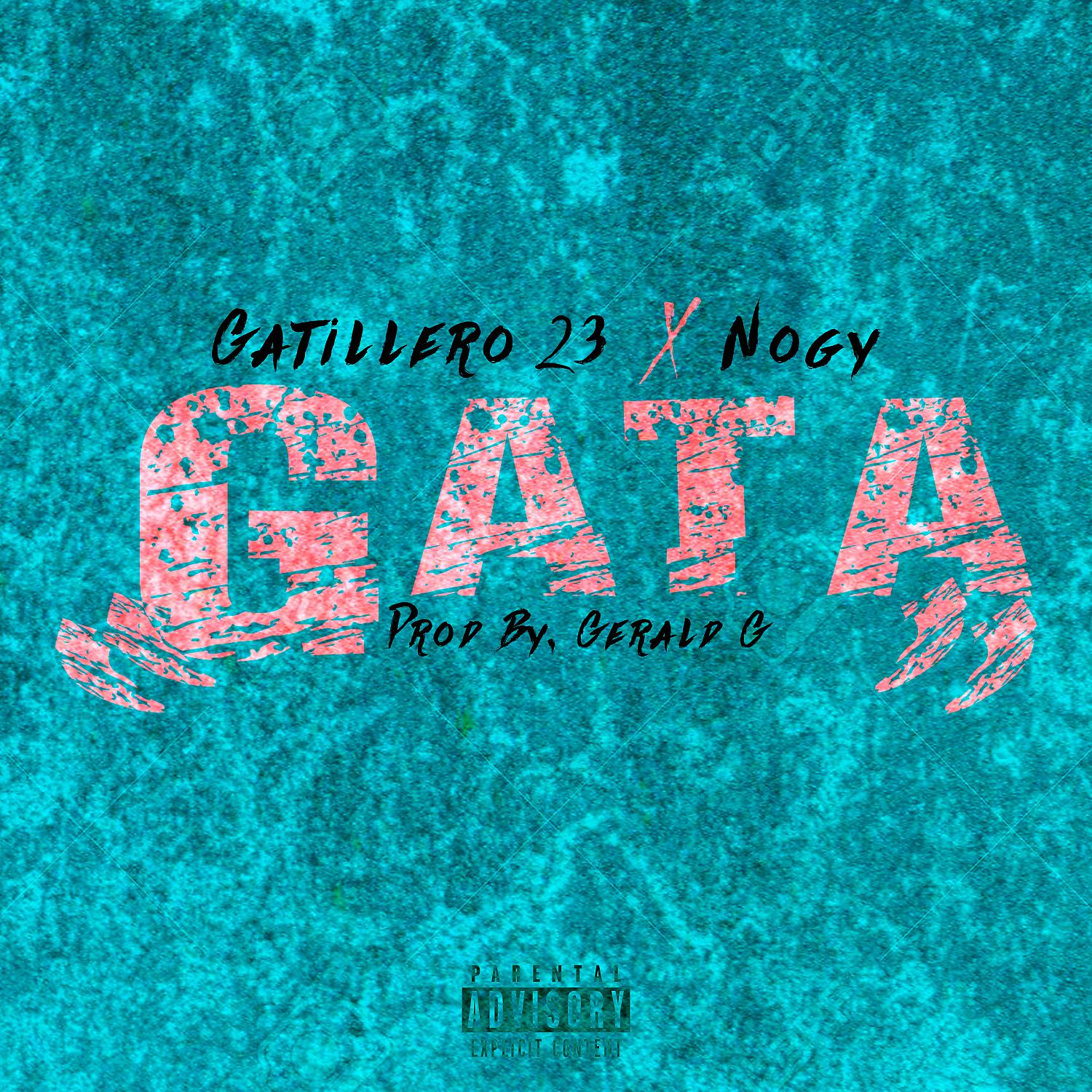 Постер альбома Gata (feat. Nogy)