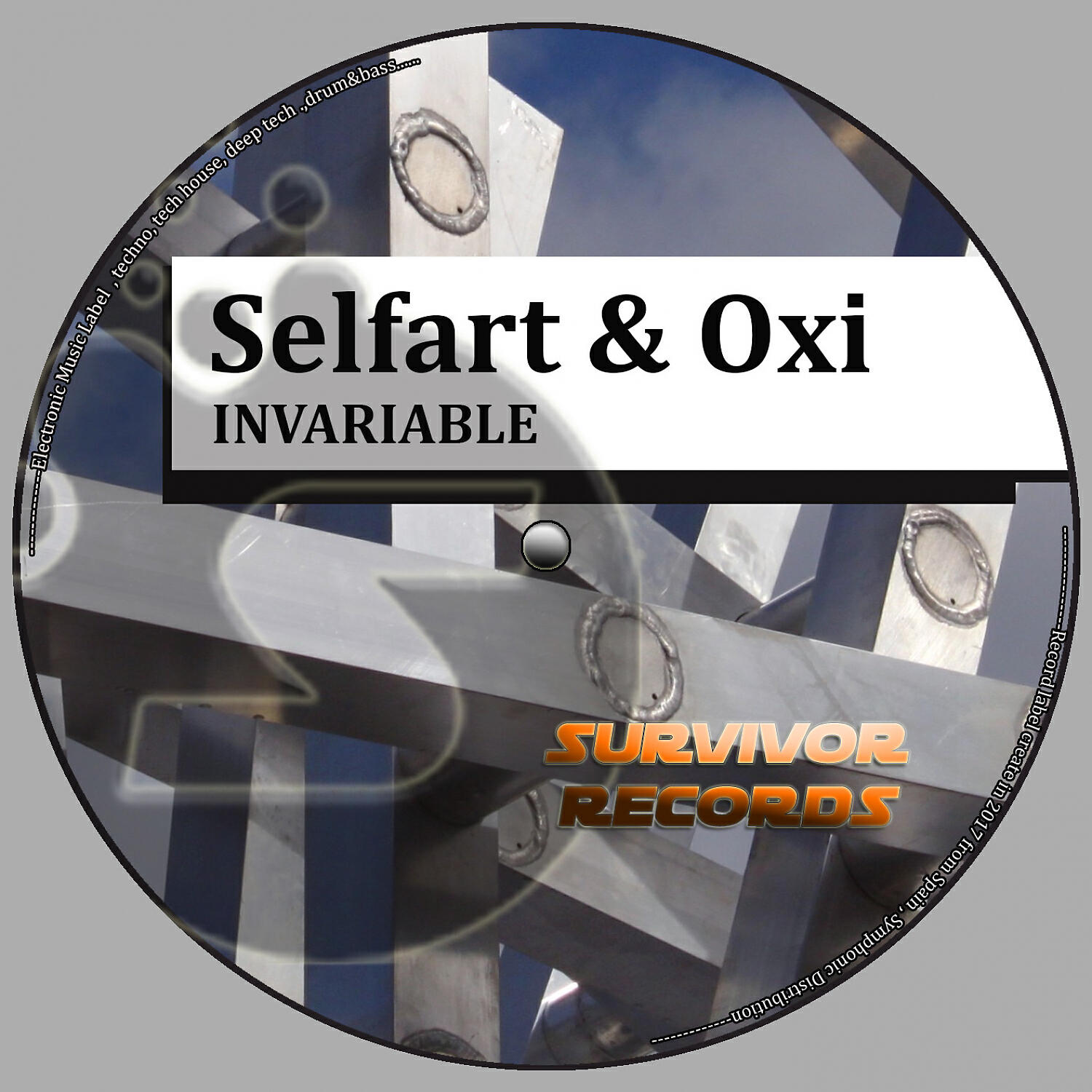 Selfart - Invariable (Original Mix)