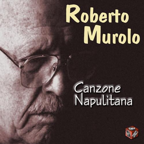 Постер альбома Canzone napulitana