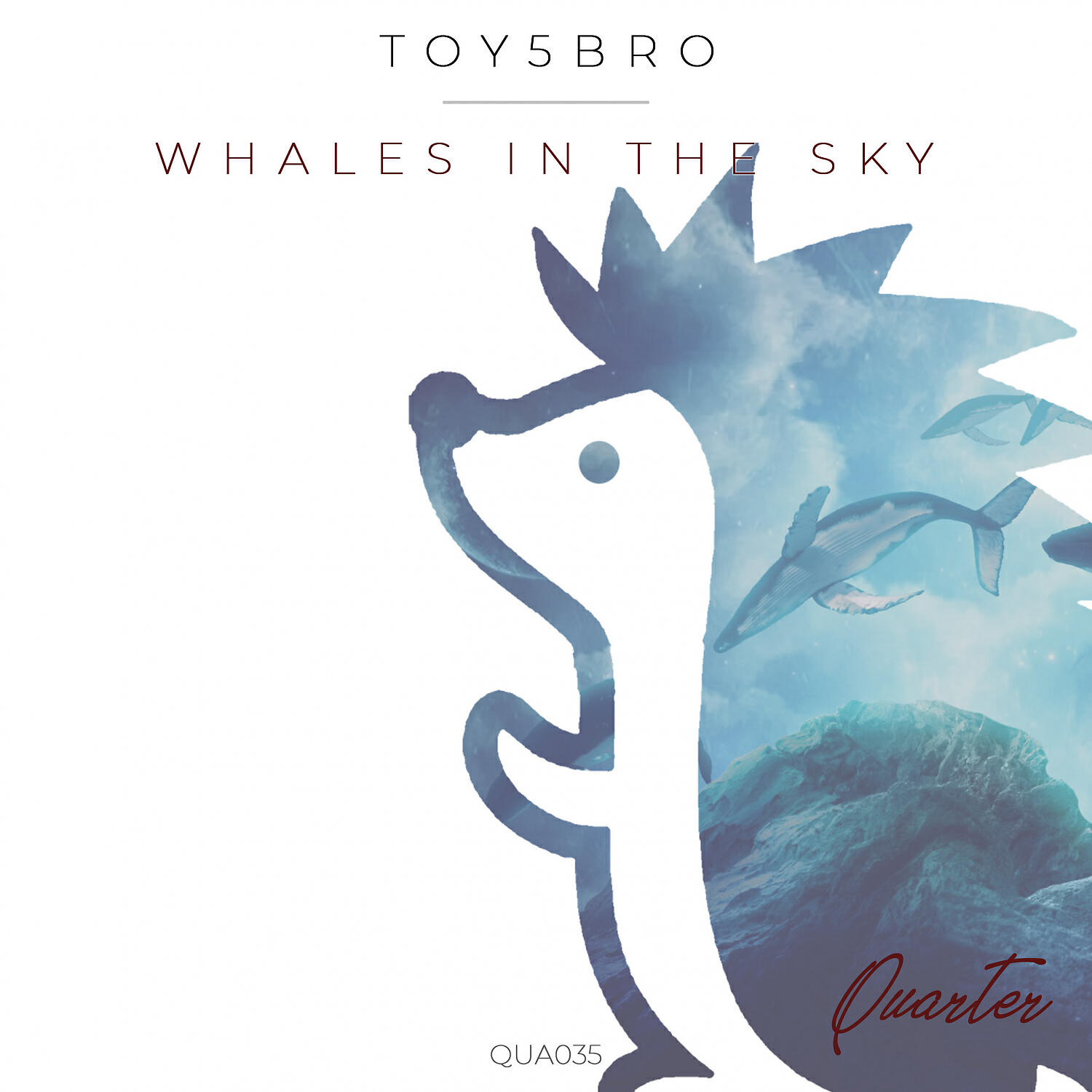 Toy5bro - Whales in the Sky (Original mix)