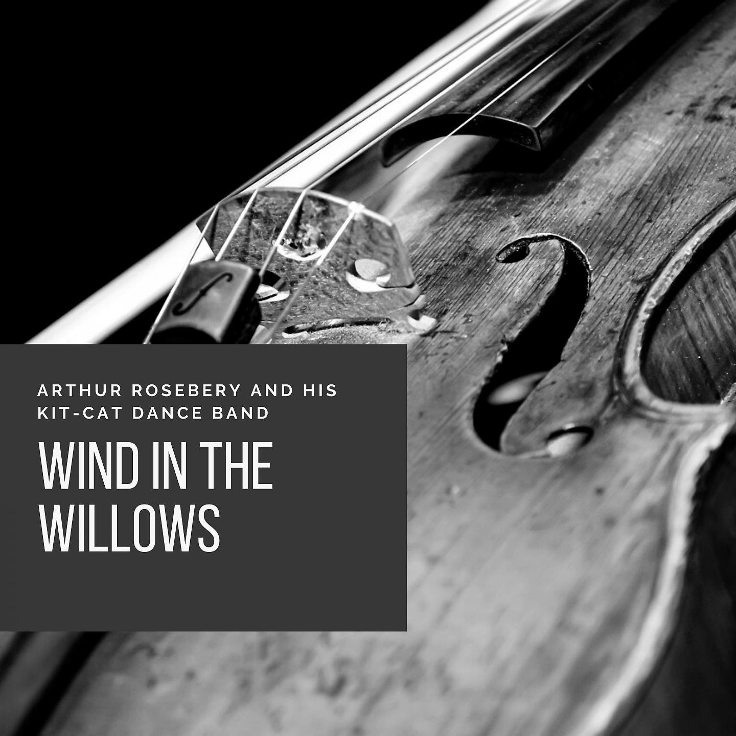 Постер альбома Wind in the Willows