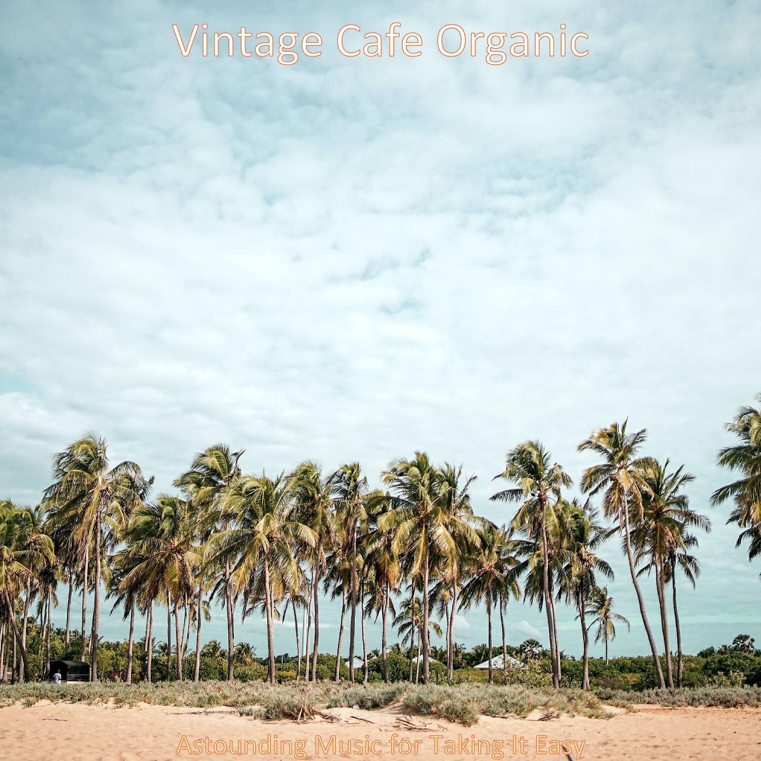 Vintage Cafe Organic - Backdrop for Staying Focused - Laid-Back Jazz Trio