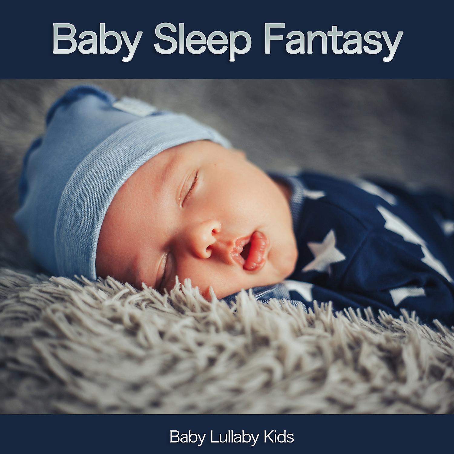 Постер альбома Baby Sleep Fantasy