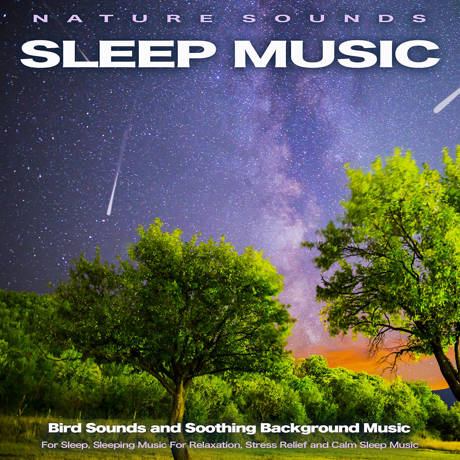 Sleeping Music - Nature Sounds Sleep Music
