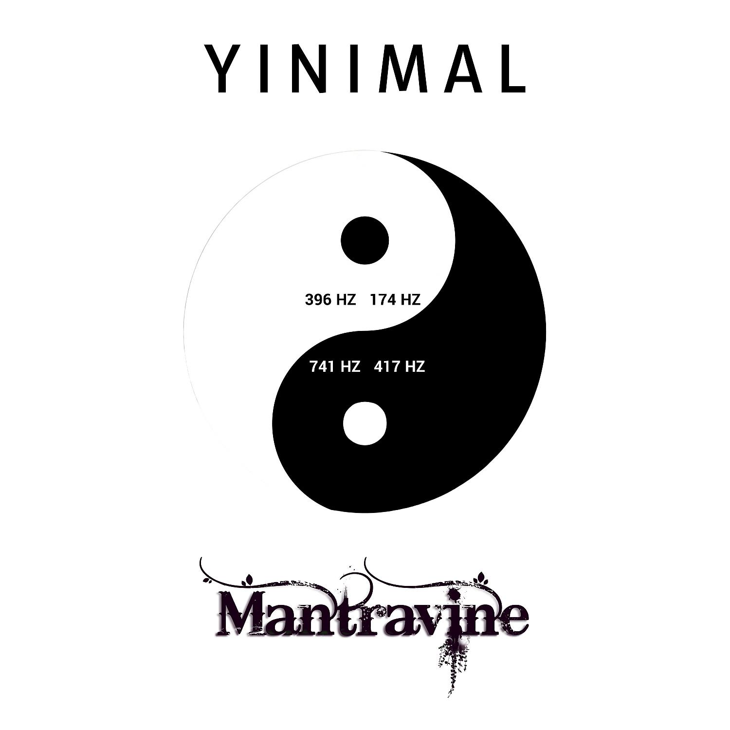 Постер альбома Yinimal