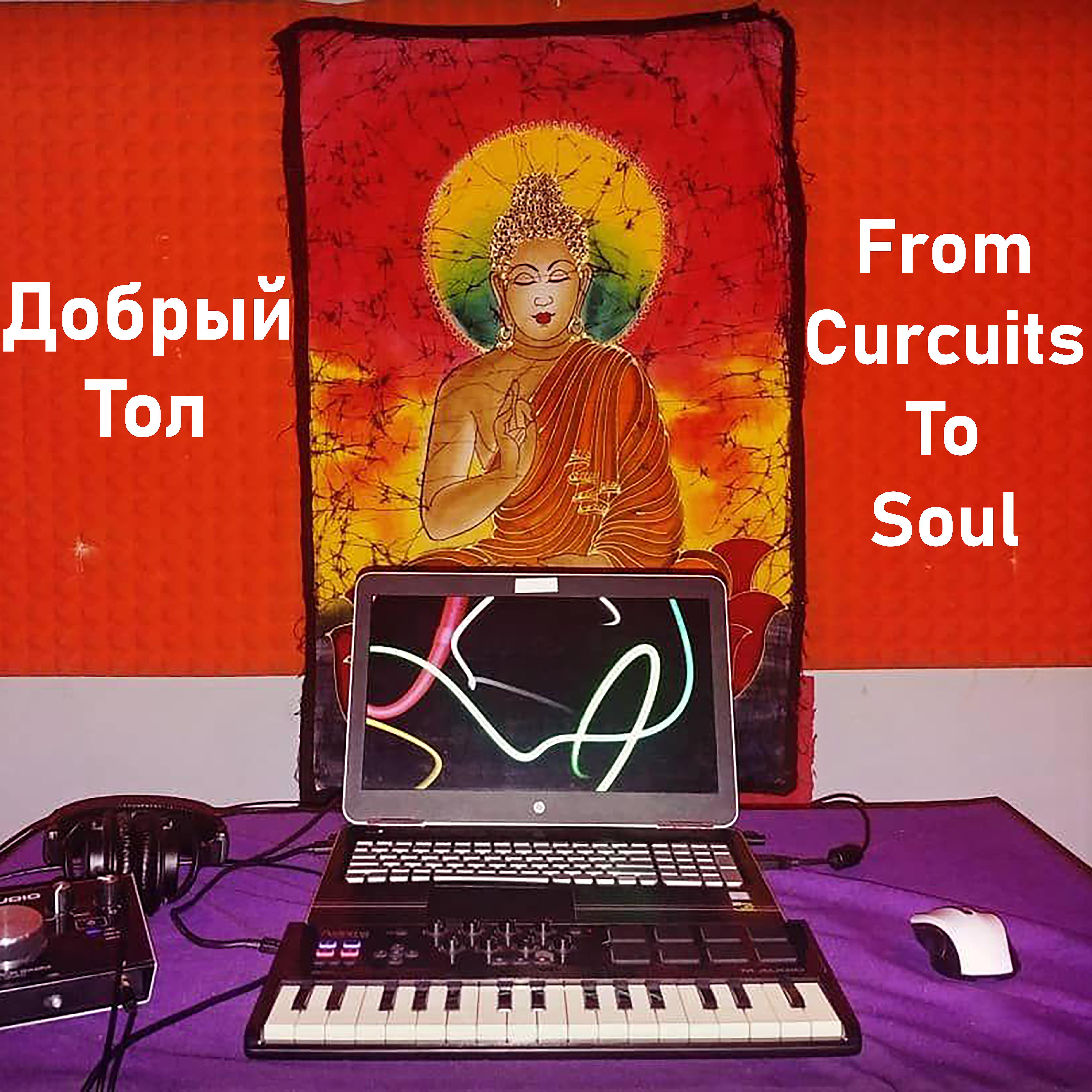 Постер альбома From Circuits to Soul