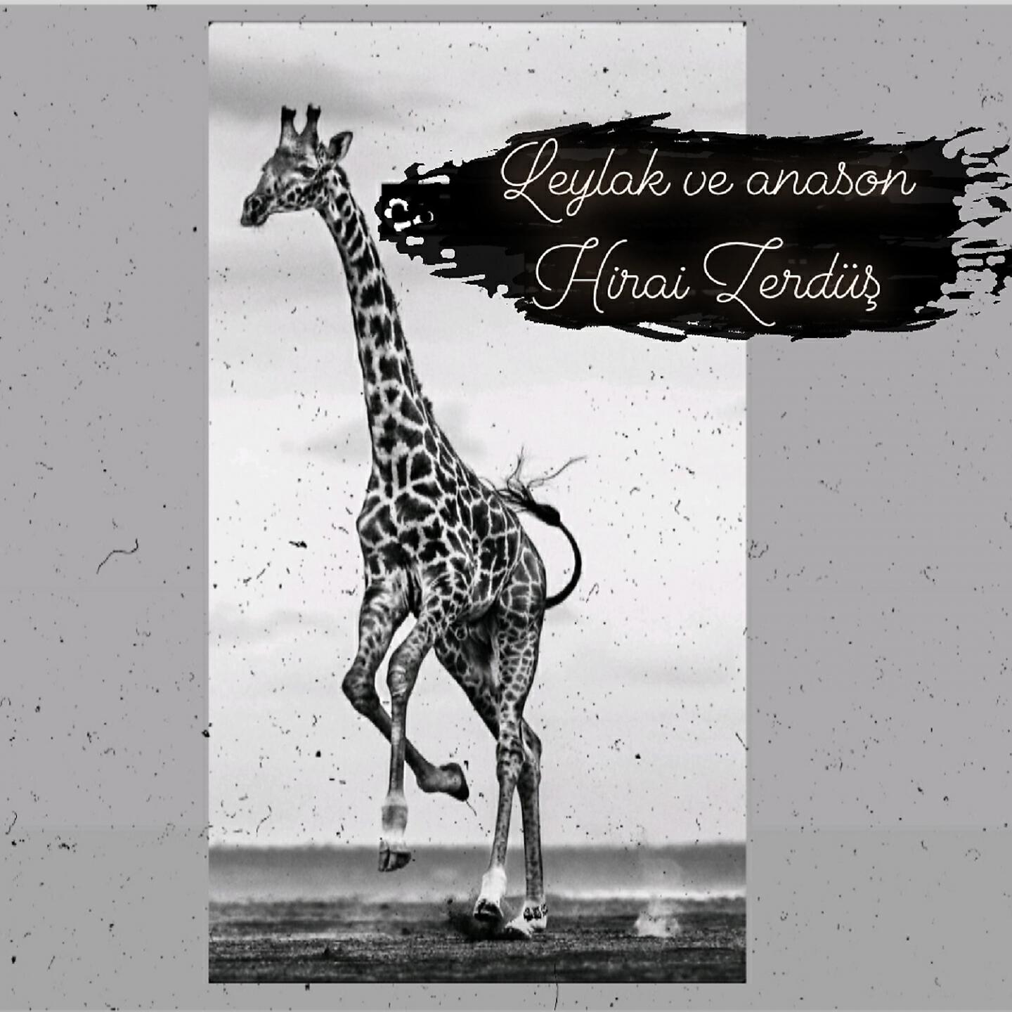 Hirai Zerdüş - Roja Gİ Bu Buk (Remix)