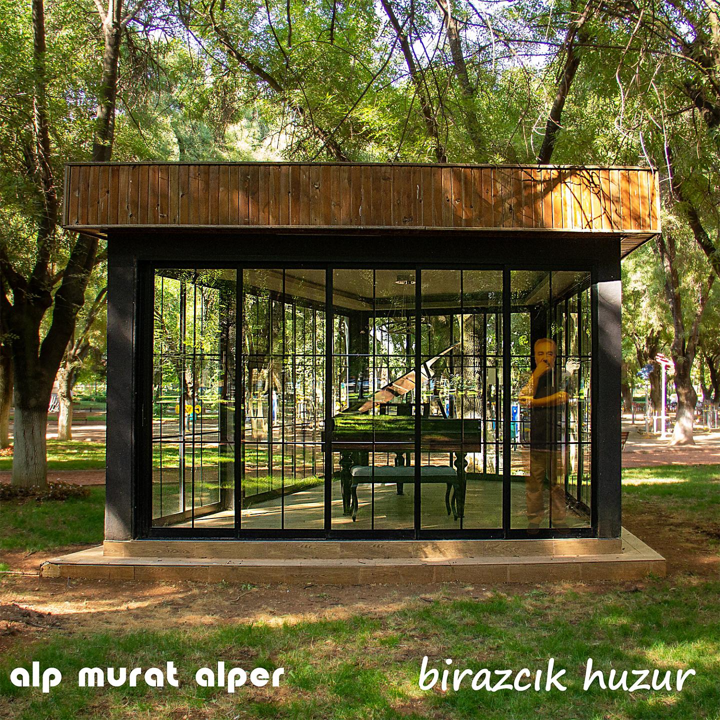 Постер альбома Birazcık Huzur