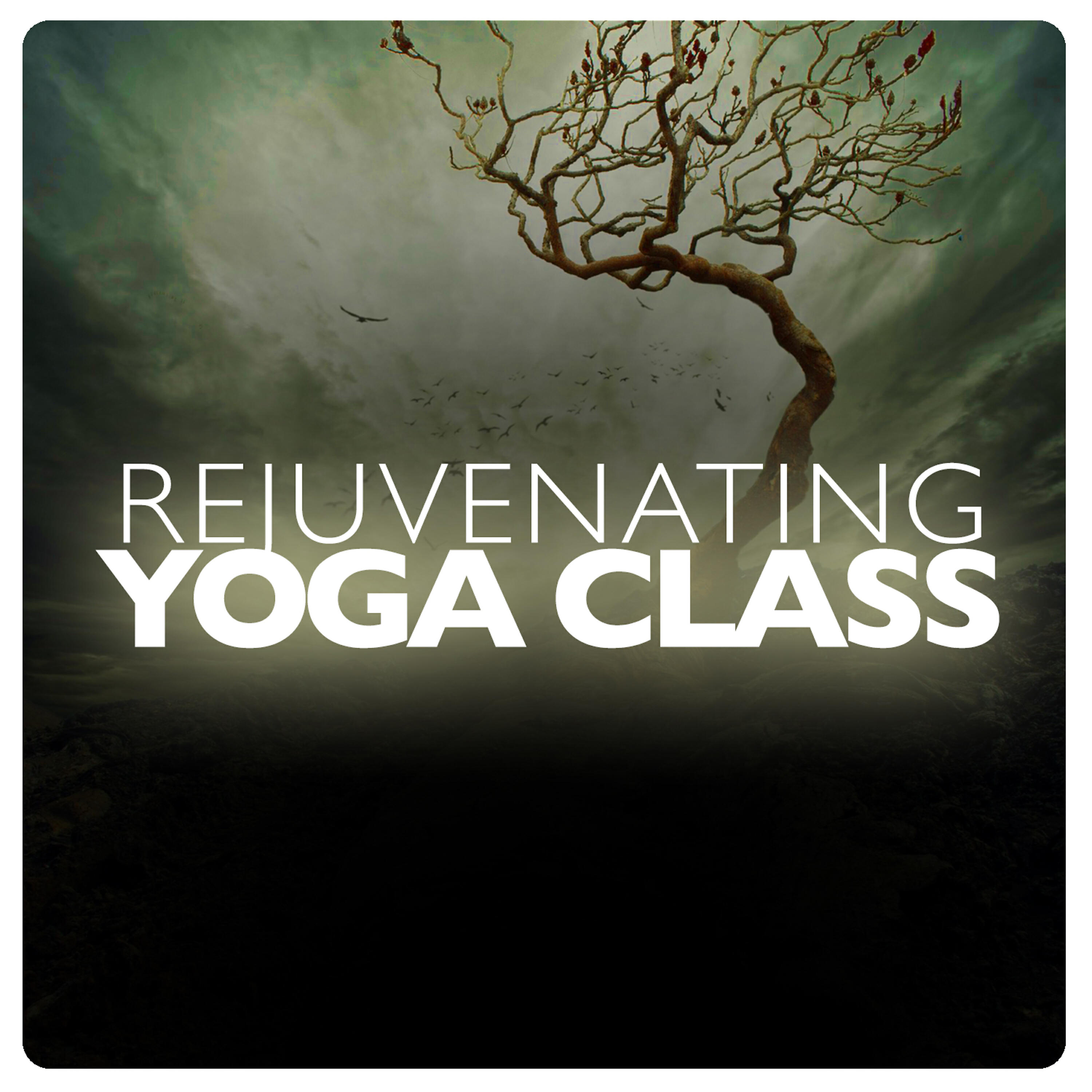 Yoga Class Music - Mindful Meditation