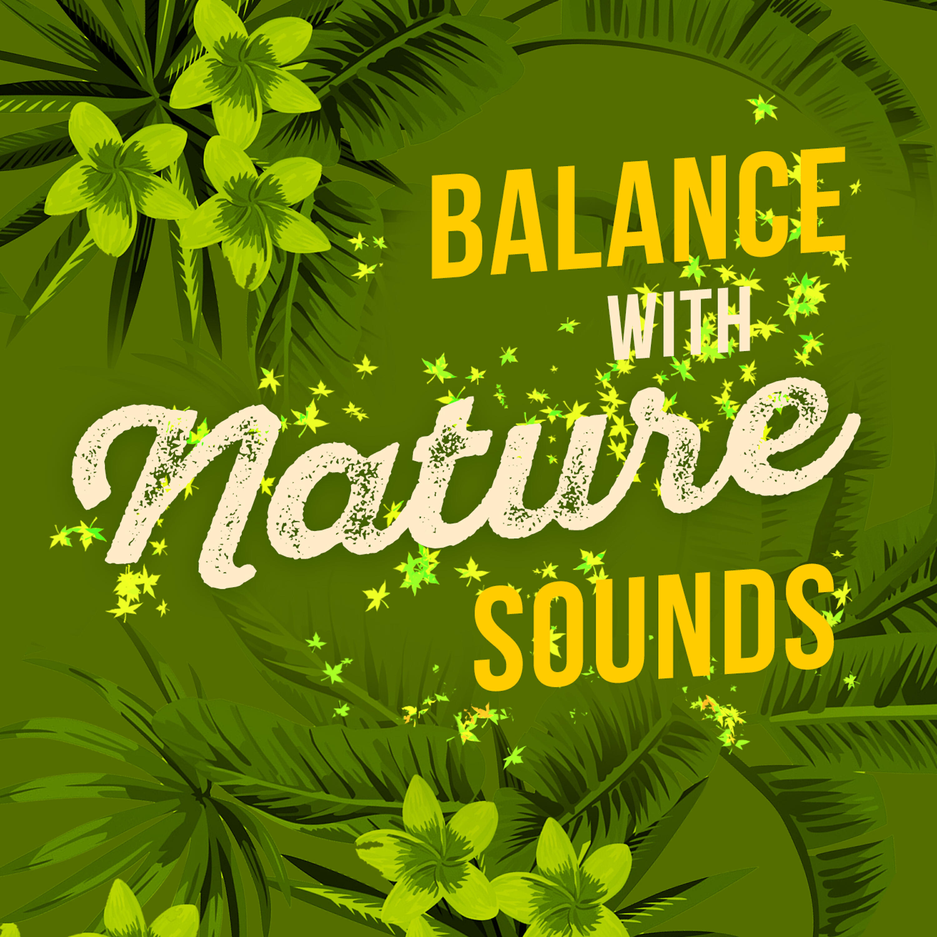 Meditate to Sounds of Nature - Bird Life