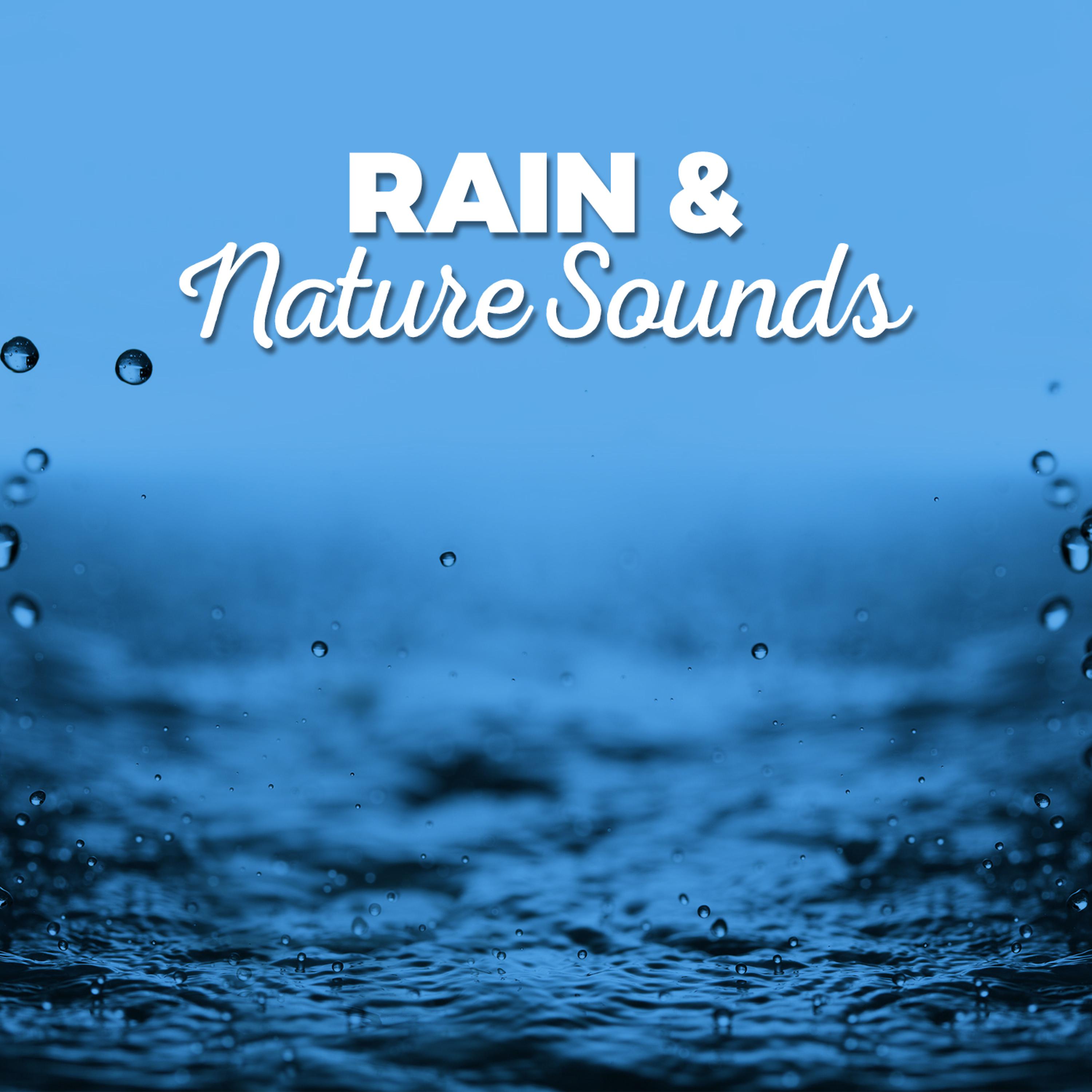 Постер альбома Rain & Nature Sounds