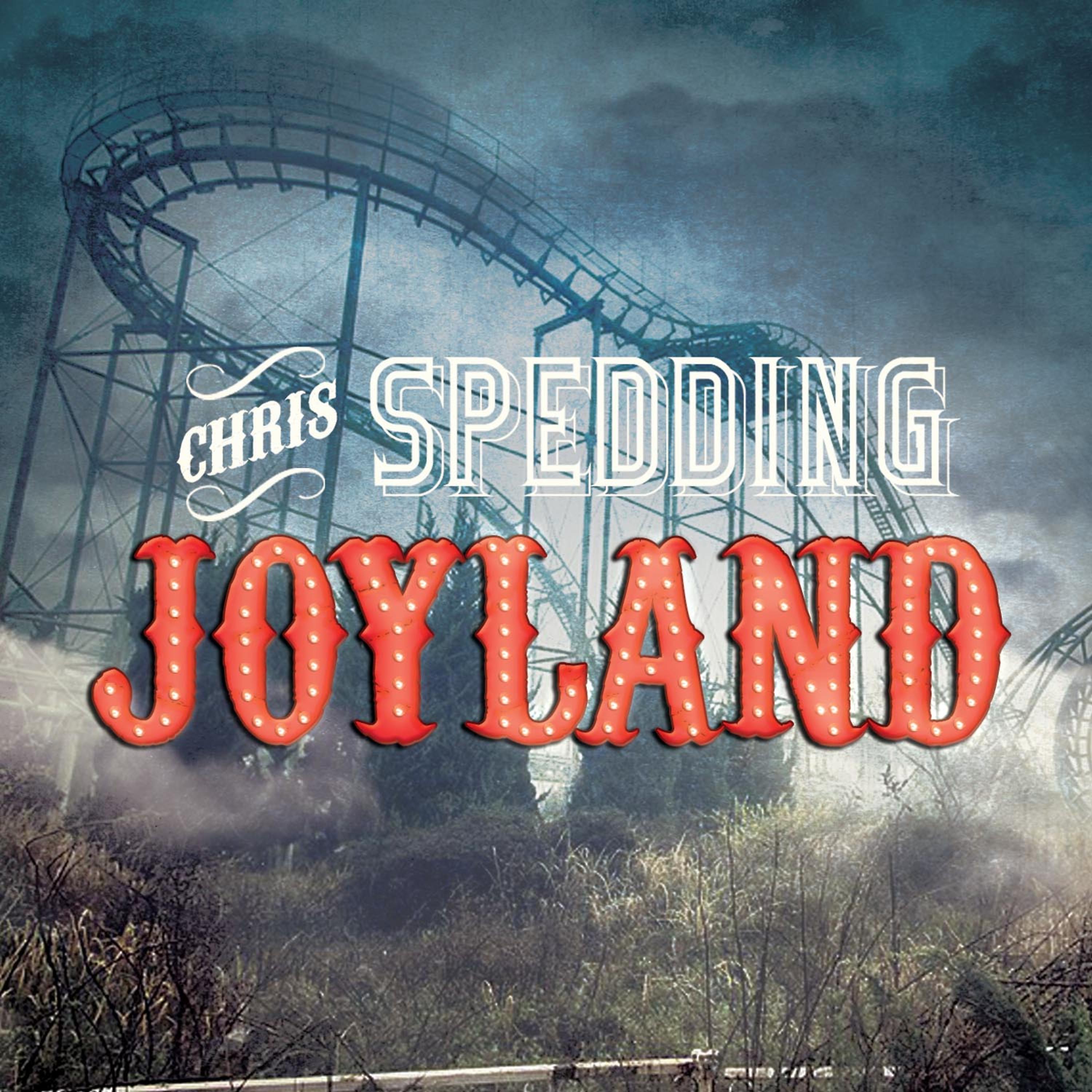 Постер альбома Joyland