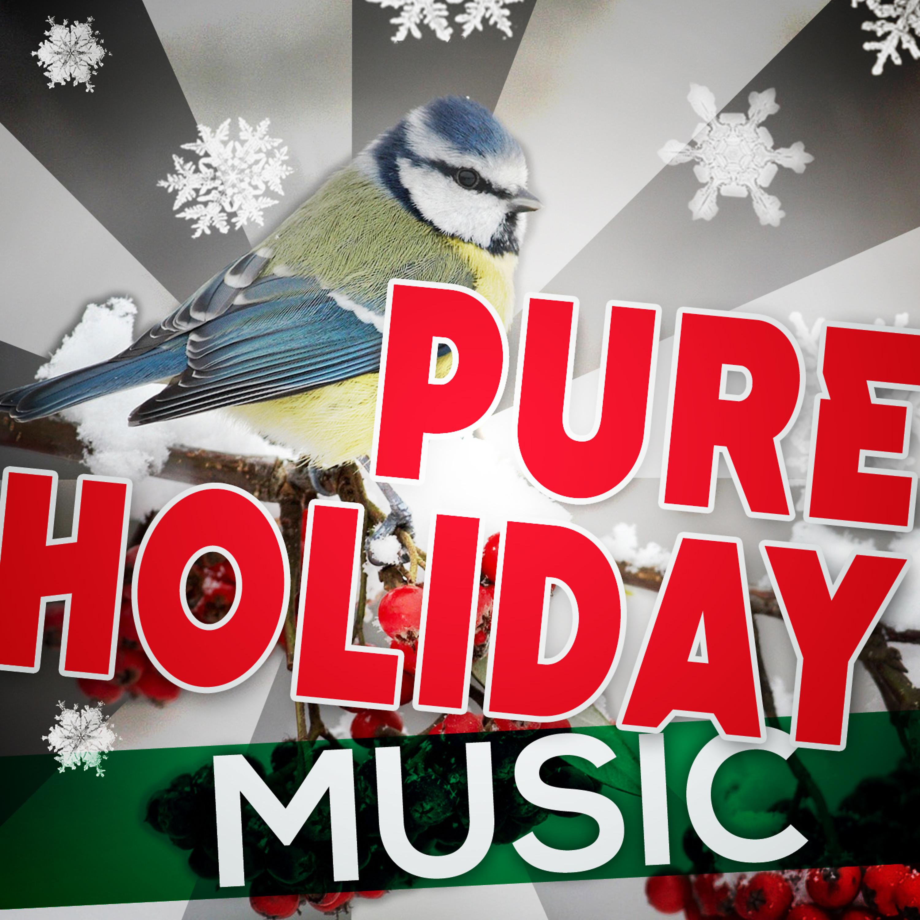 Постер альбома Pure Holiday Music