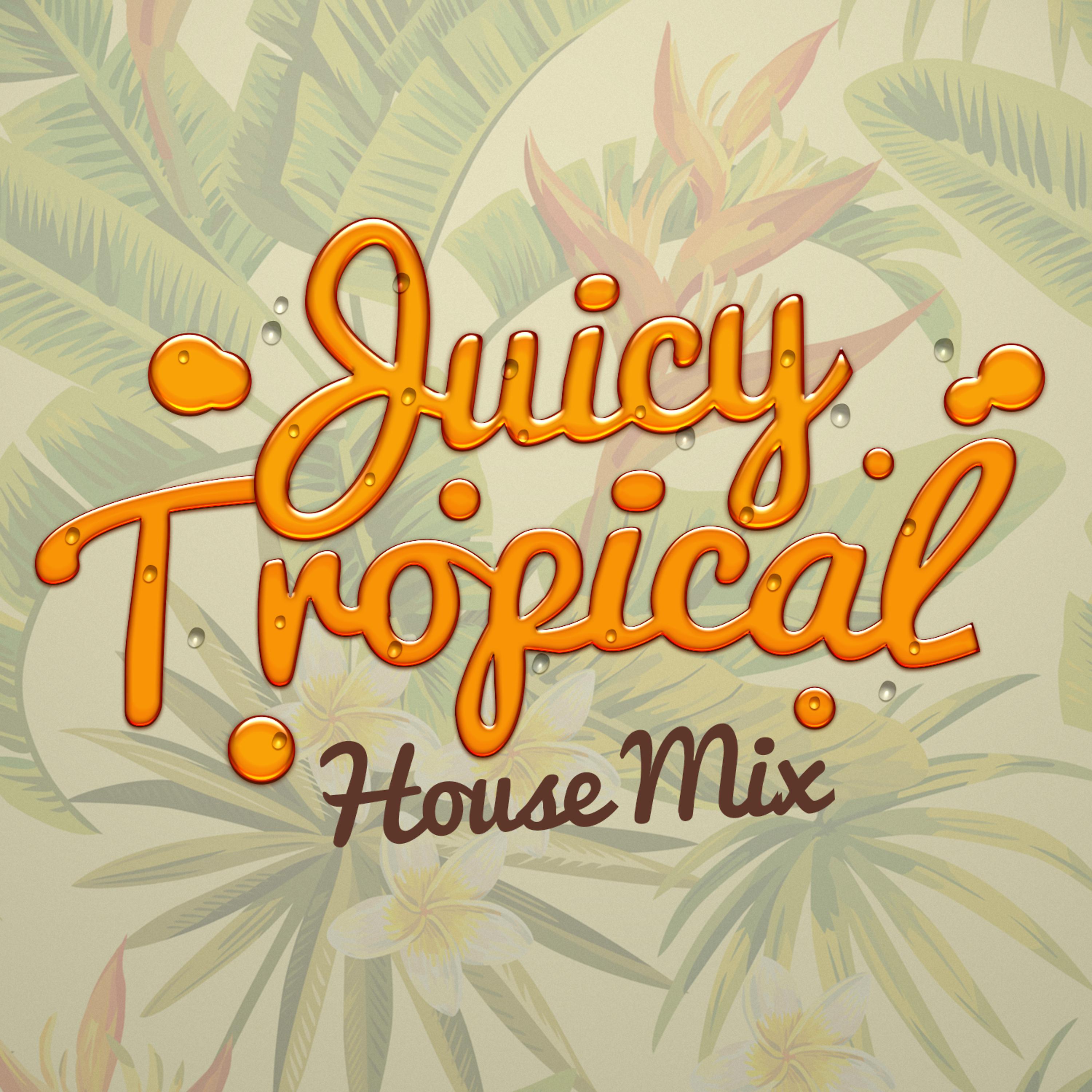 Постер альбома Juicy Tropical House Mix