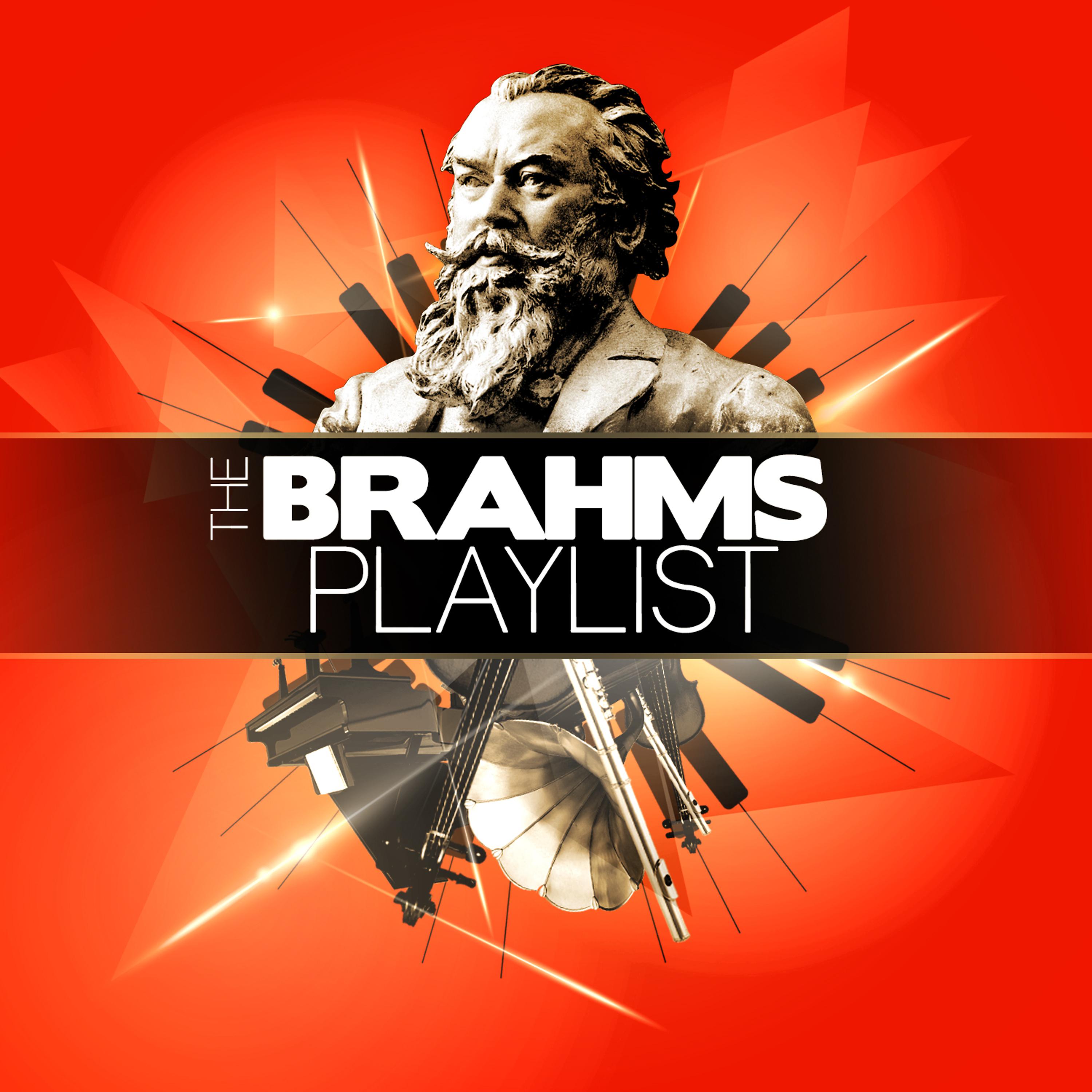 Постер альбома The Brahms Playlist