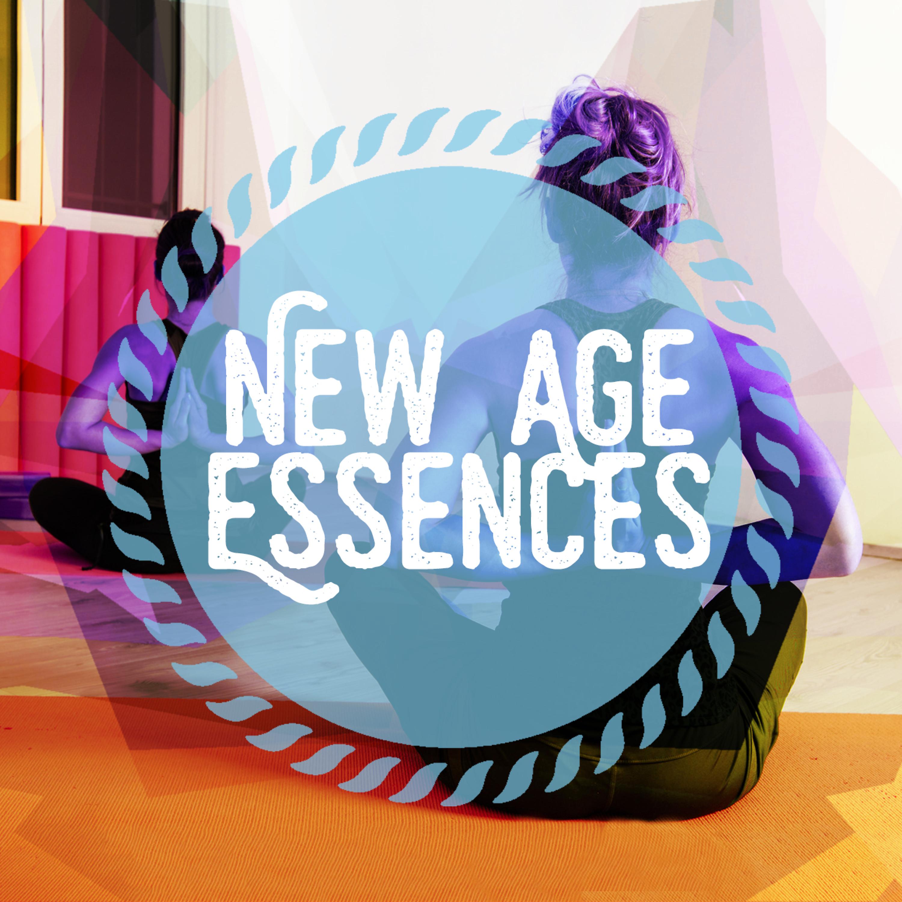Постер альбома New Age Essences
