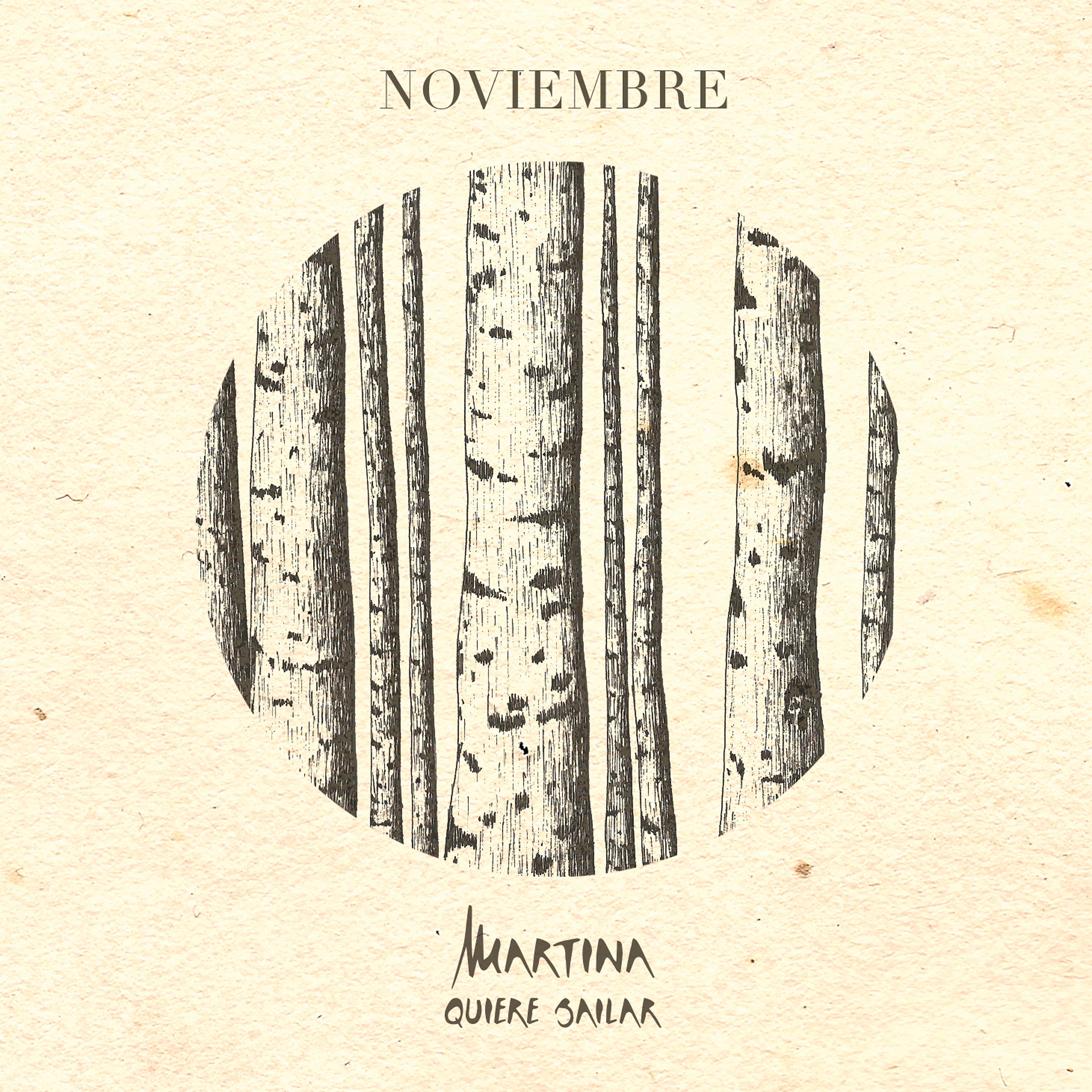 Постер альбома Noviembre