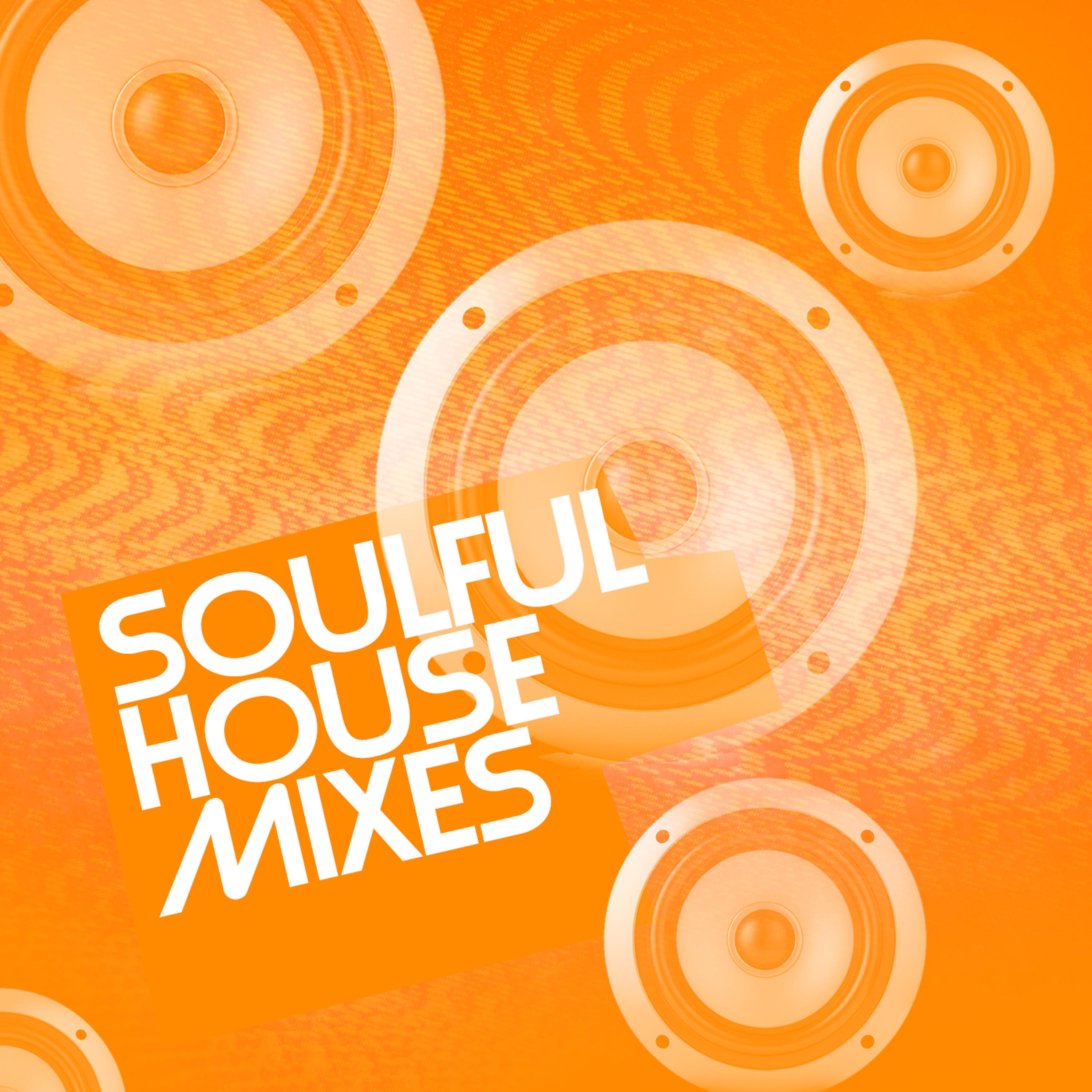 Постер альбома Soulful House Mixes