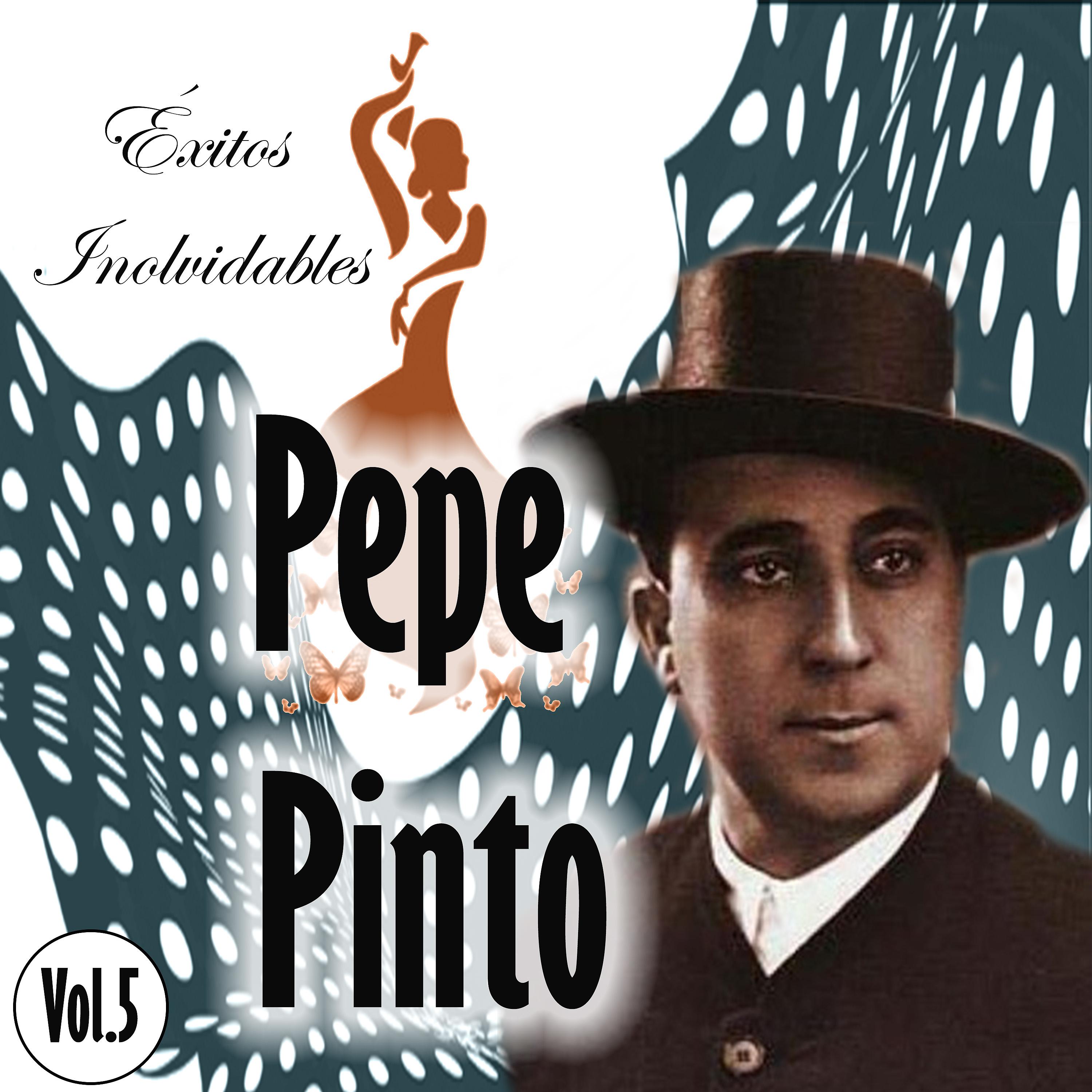Постер альбома Pepe Pinto - Éxitos Inolvidables, Vol. 5