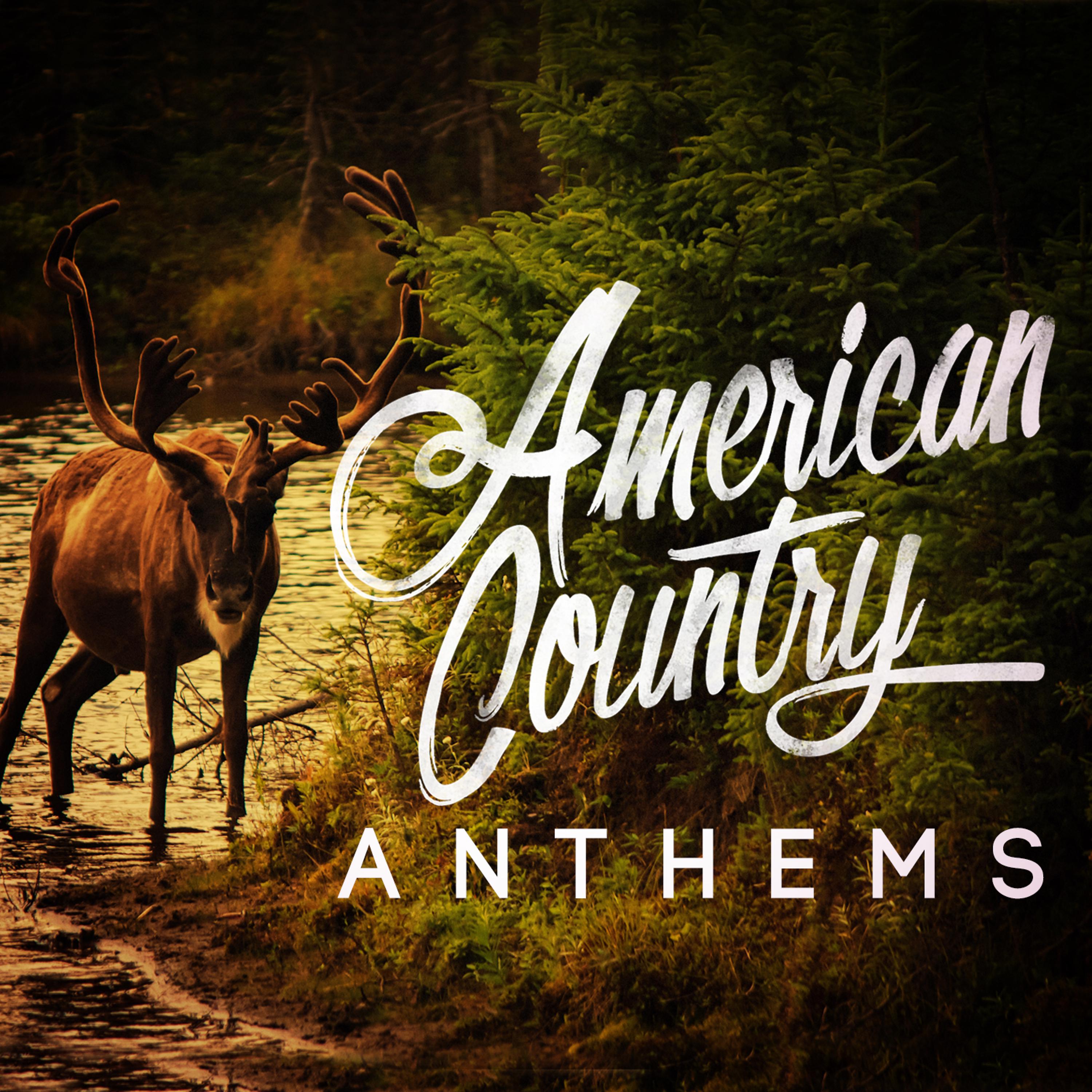 Постер альбома American Country Anthems