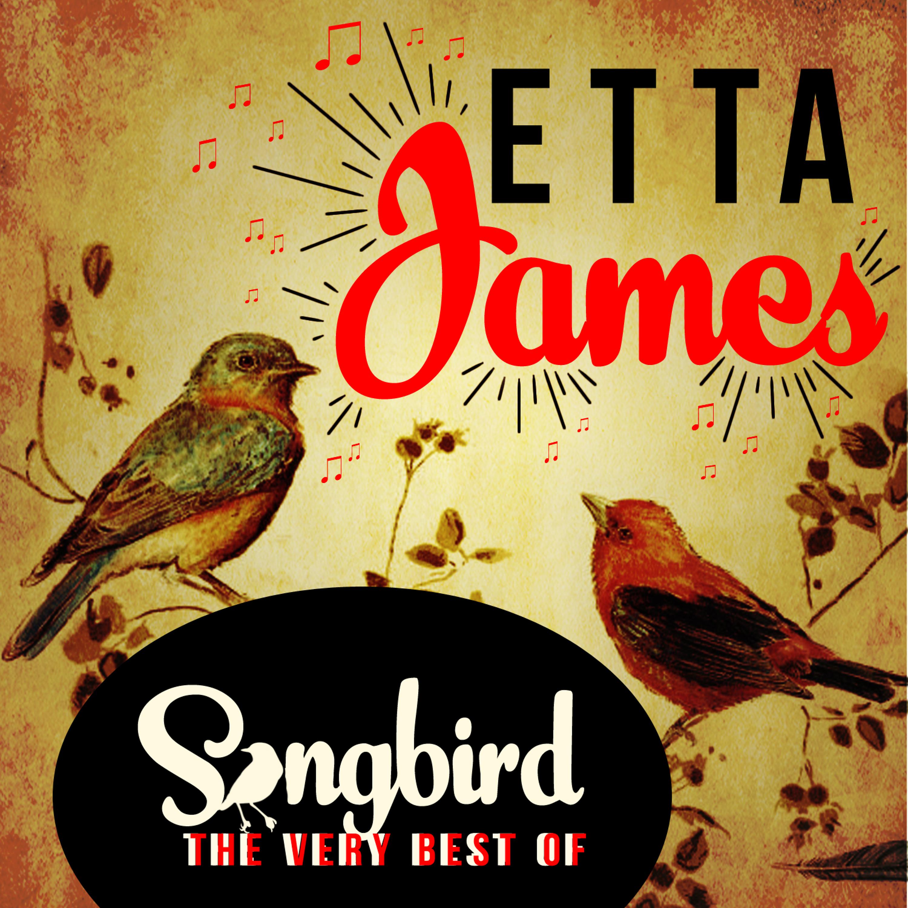Постер альбома Songbird - The Very Best Of