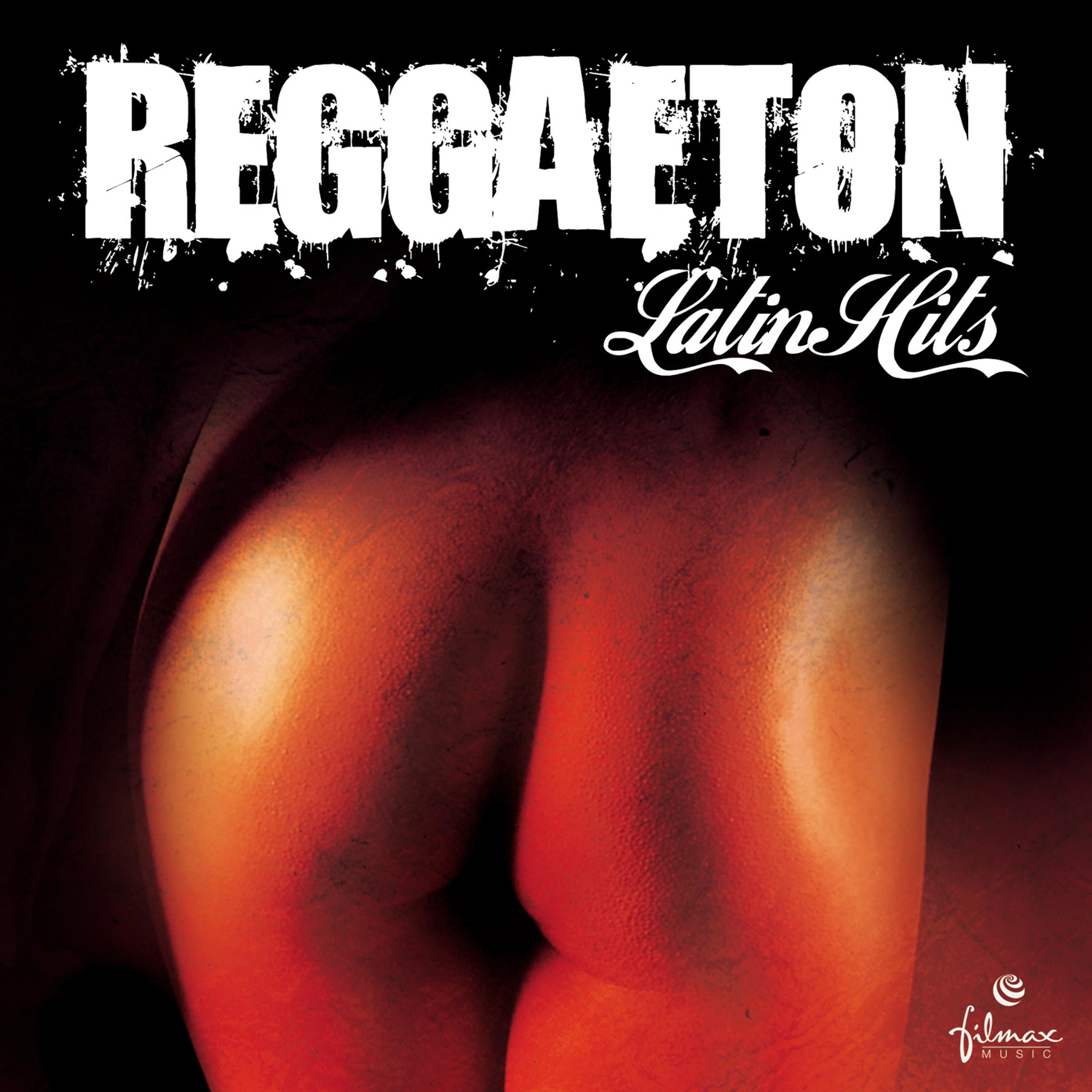 Постер альбома Reggeaton Latin Hits