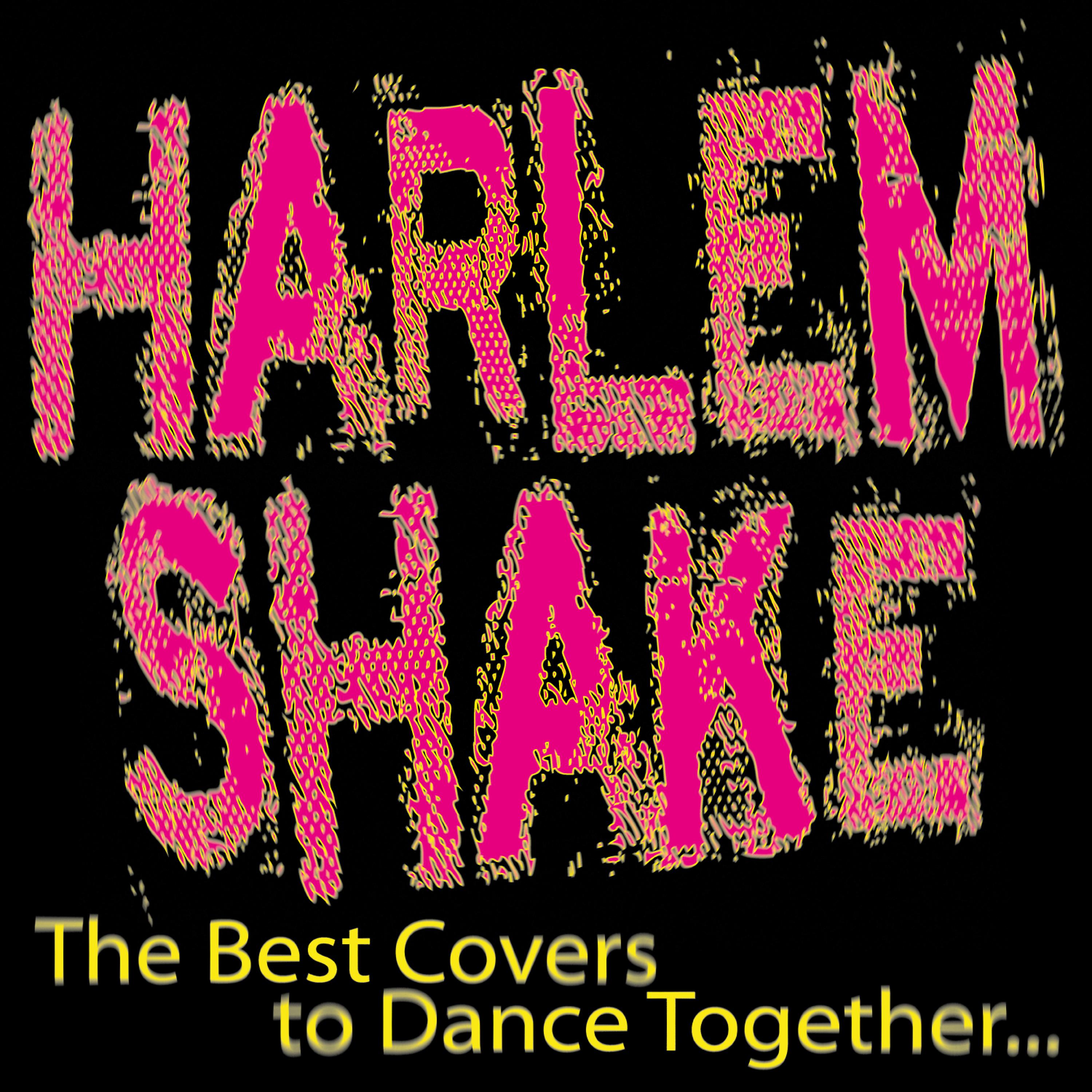 Постер альбома Harlem Shake, The Best Covers to Dance Together...