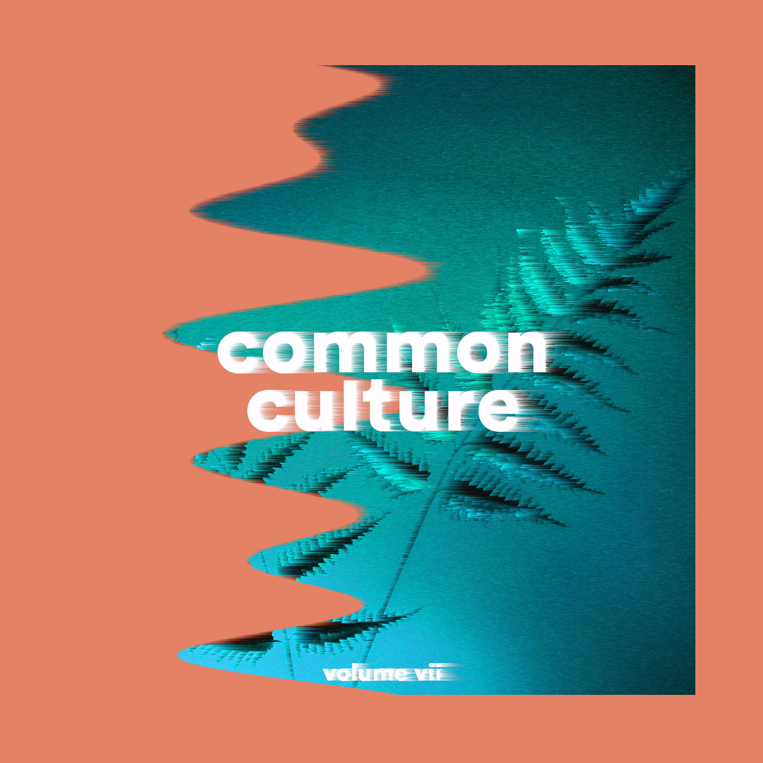 Постер альбома Common Culture, Vol. VII
