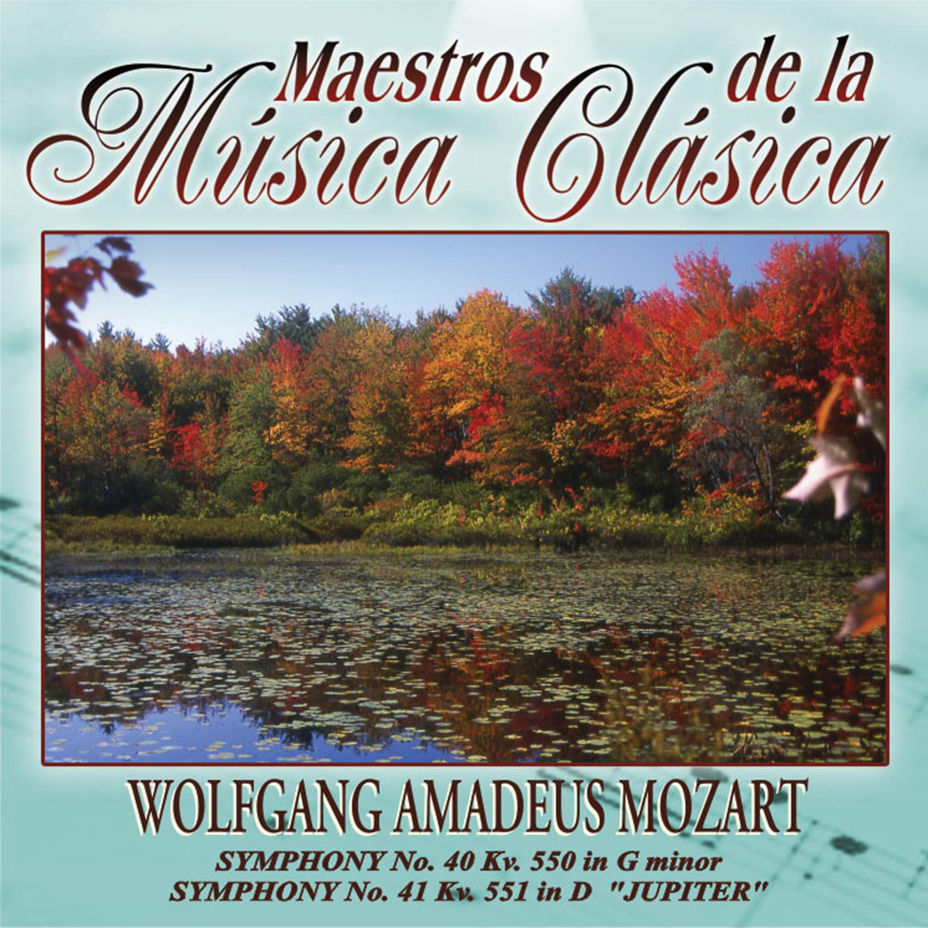 Постер альбома Maestros de la musica clasica - Wolfgang Amadeus Mozart