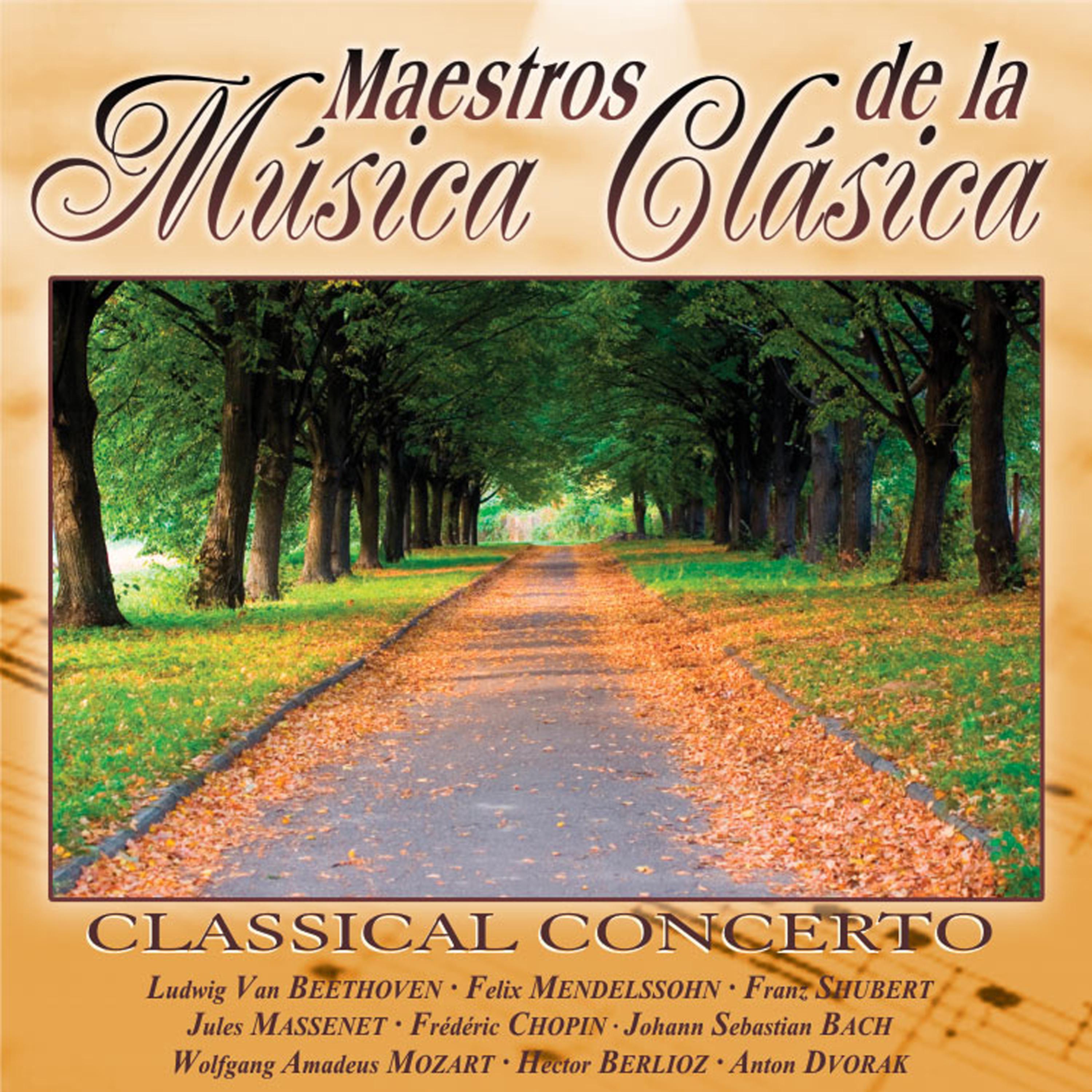 Постер альбома Maestros de la musica clasica - Classical Concerto
