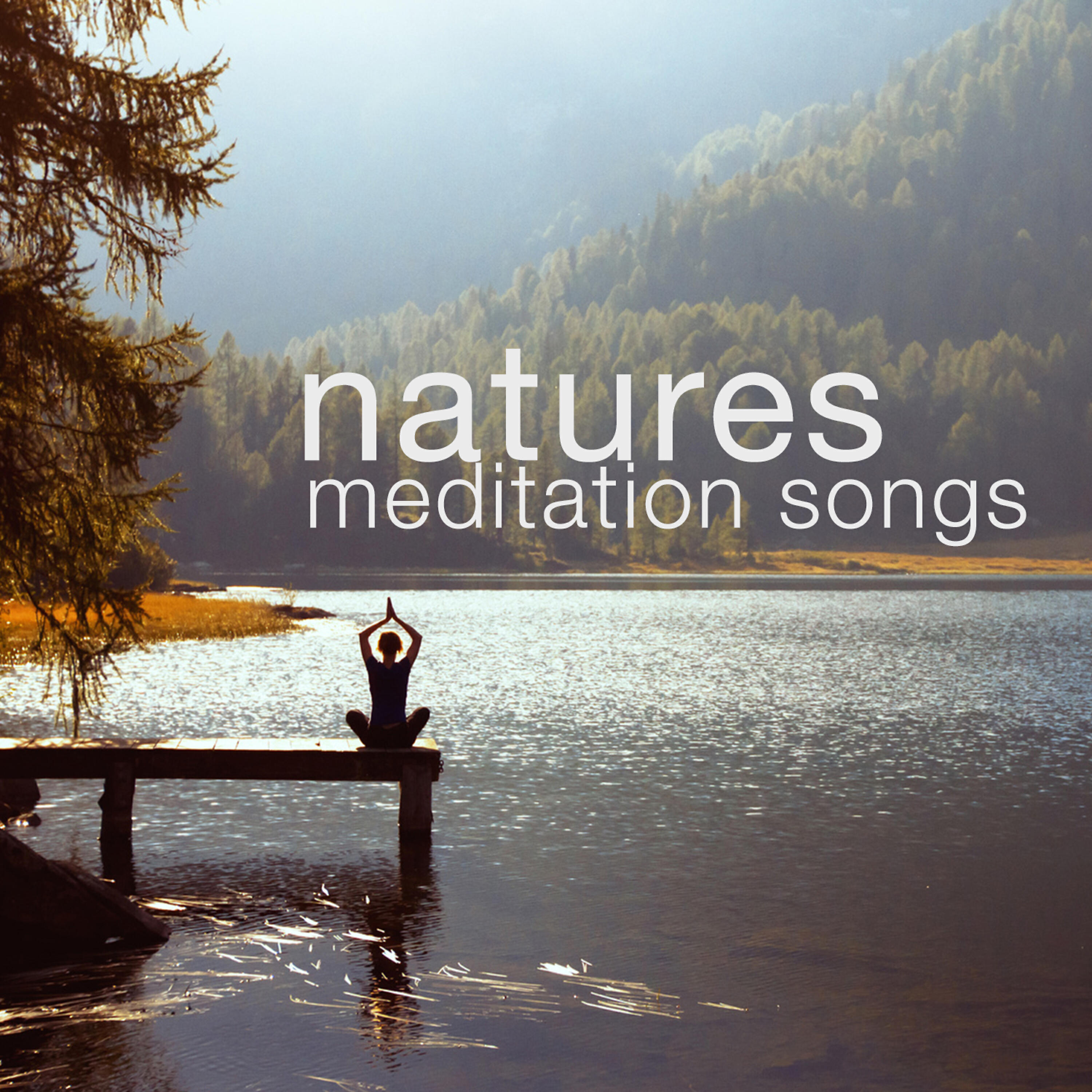 Nature Sounds Meditation - Streamside Life