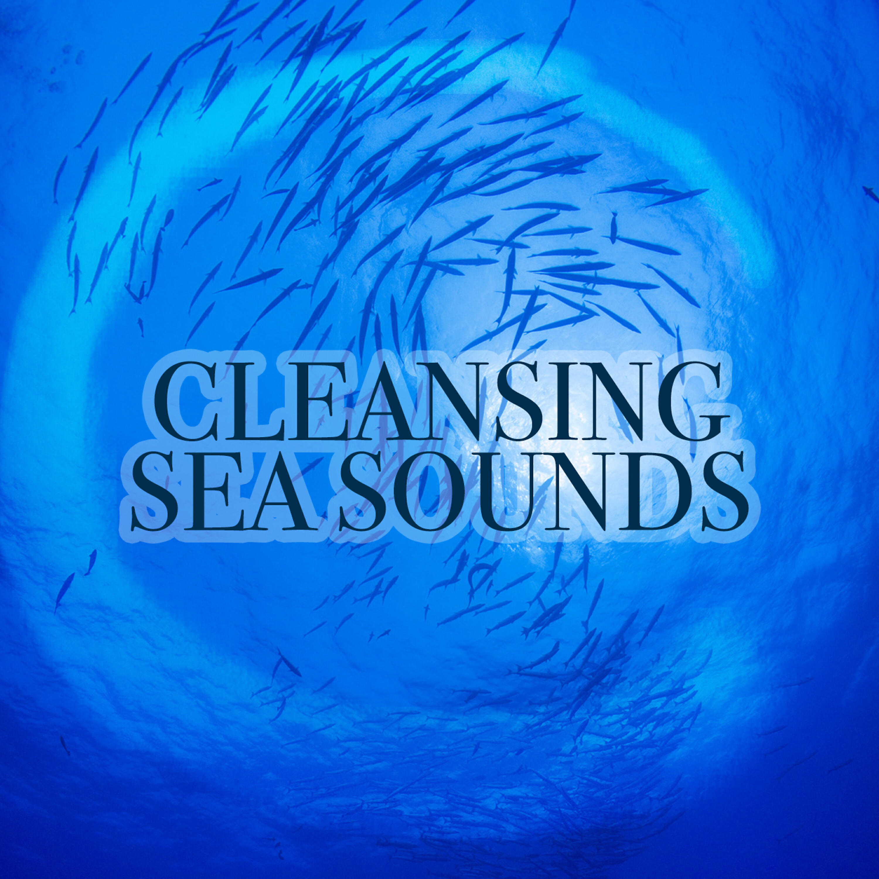 Sea Sounds 2016 - Waves: Crashing Waves