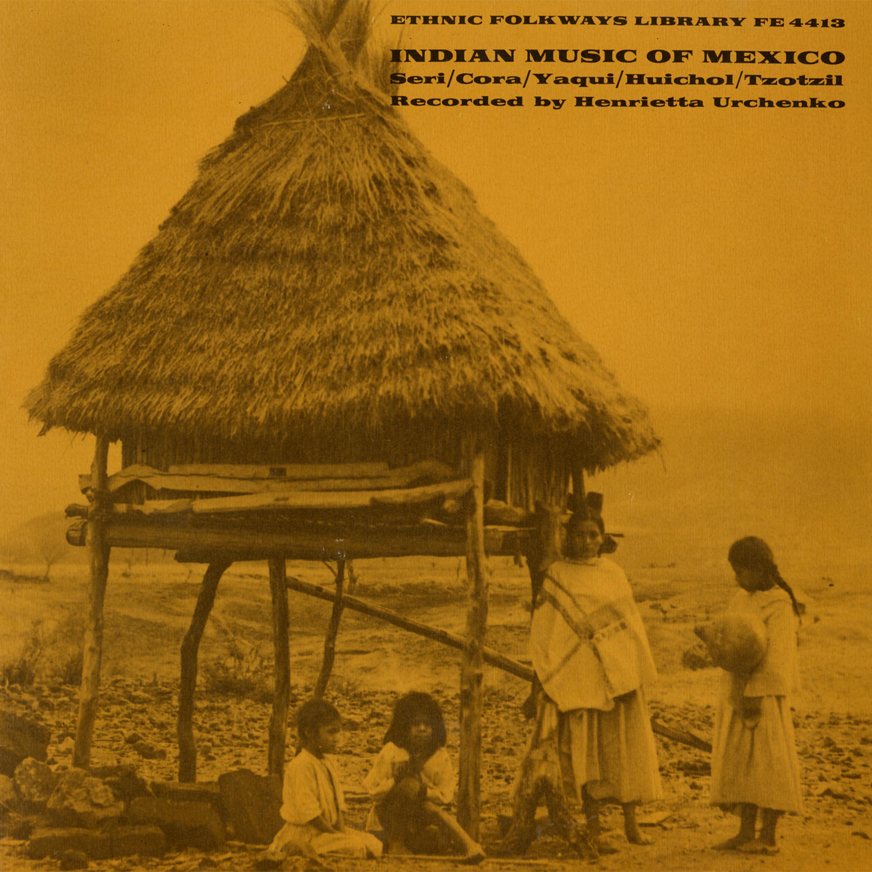 Постер альбома Indian Music of Mexico