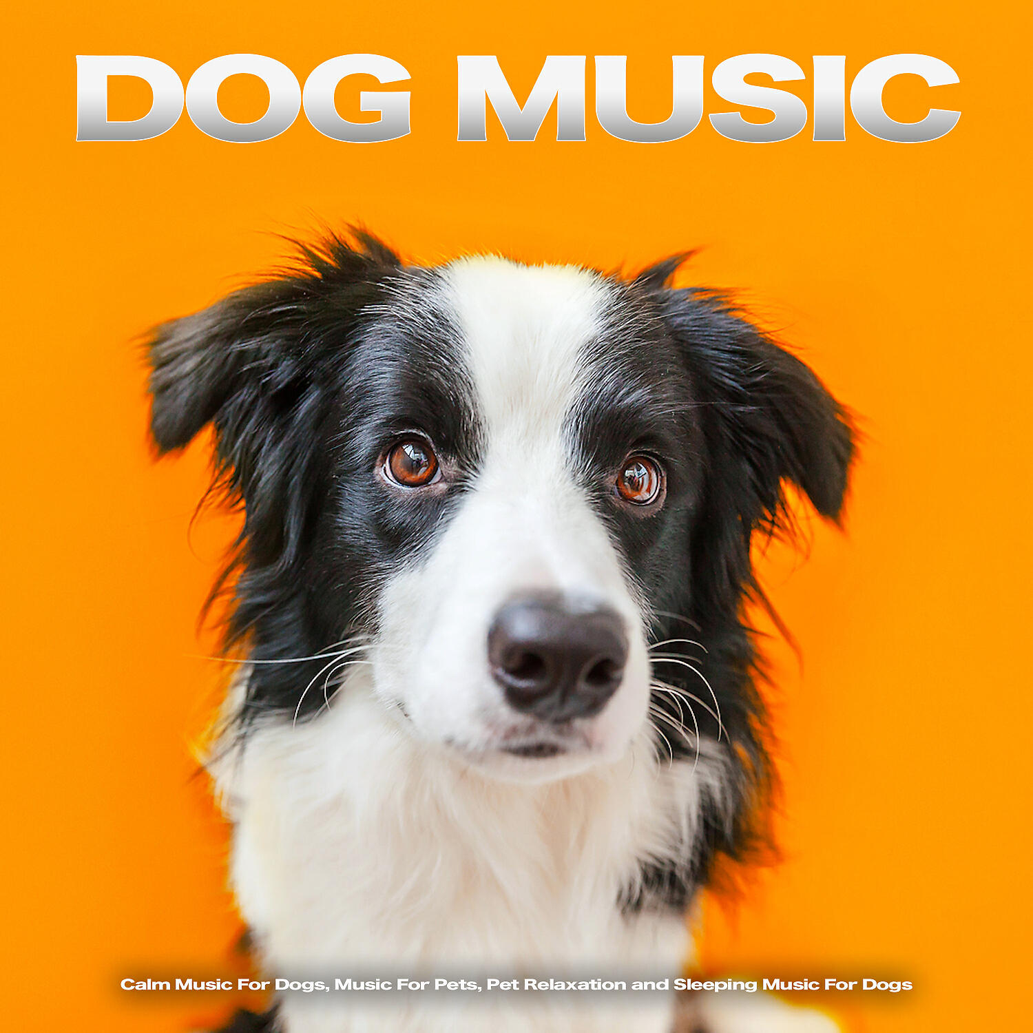 Aveda Blue - Calm Music For Pets