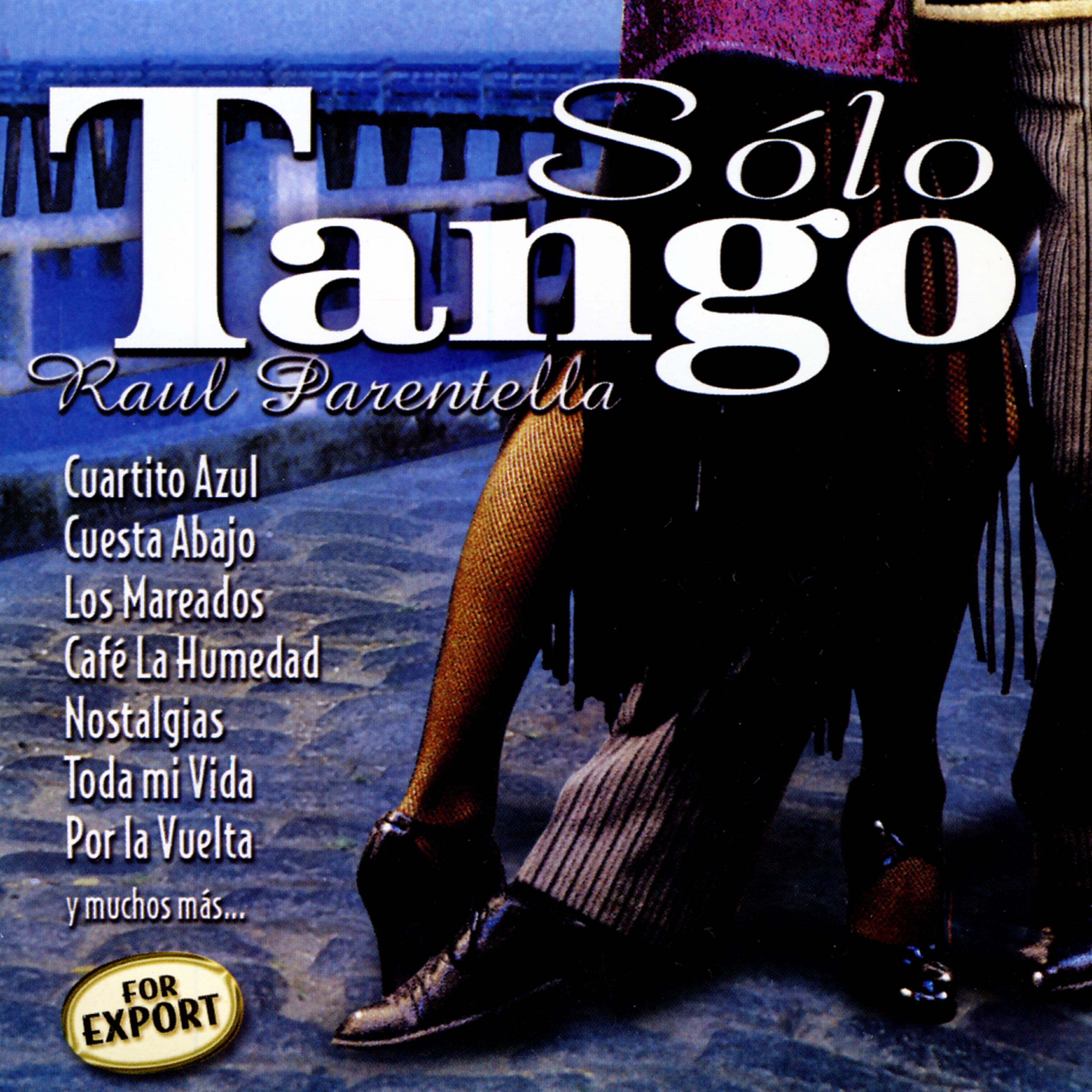 Постер альбома Solo Tango