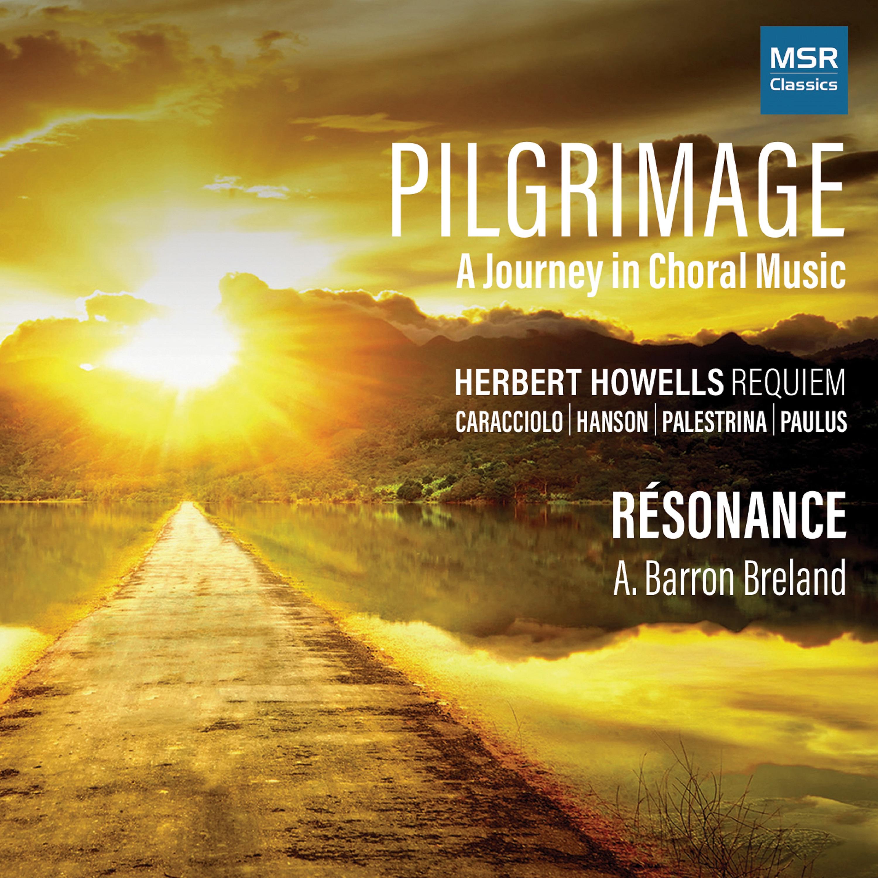 Постер альбома Pilgrimage - A Journey in Choral Music