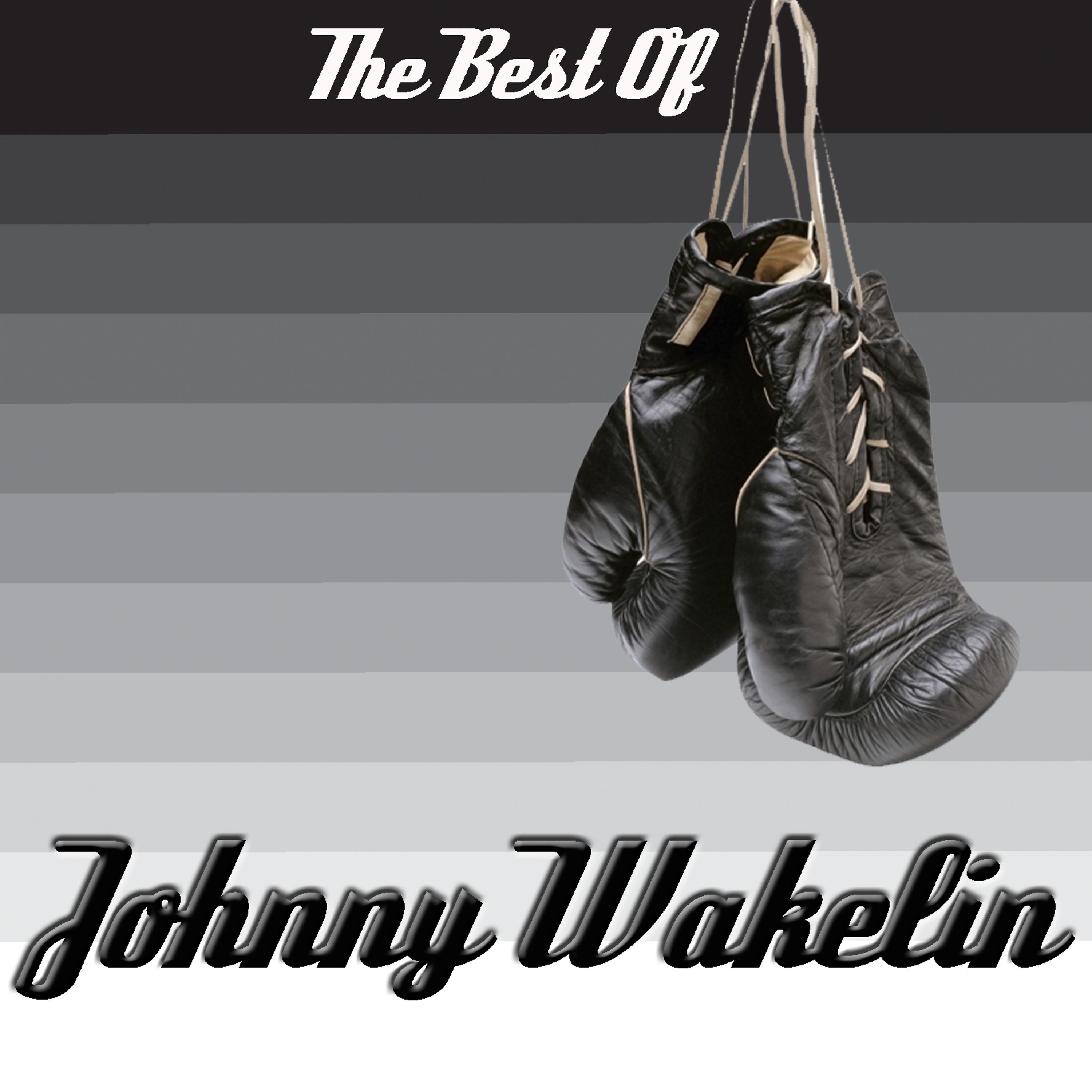 Постер альбома The Best Of Johnny Wakelin