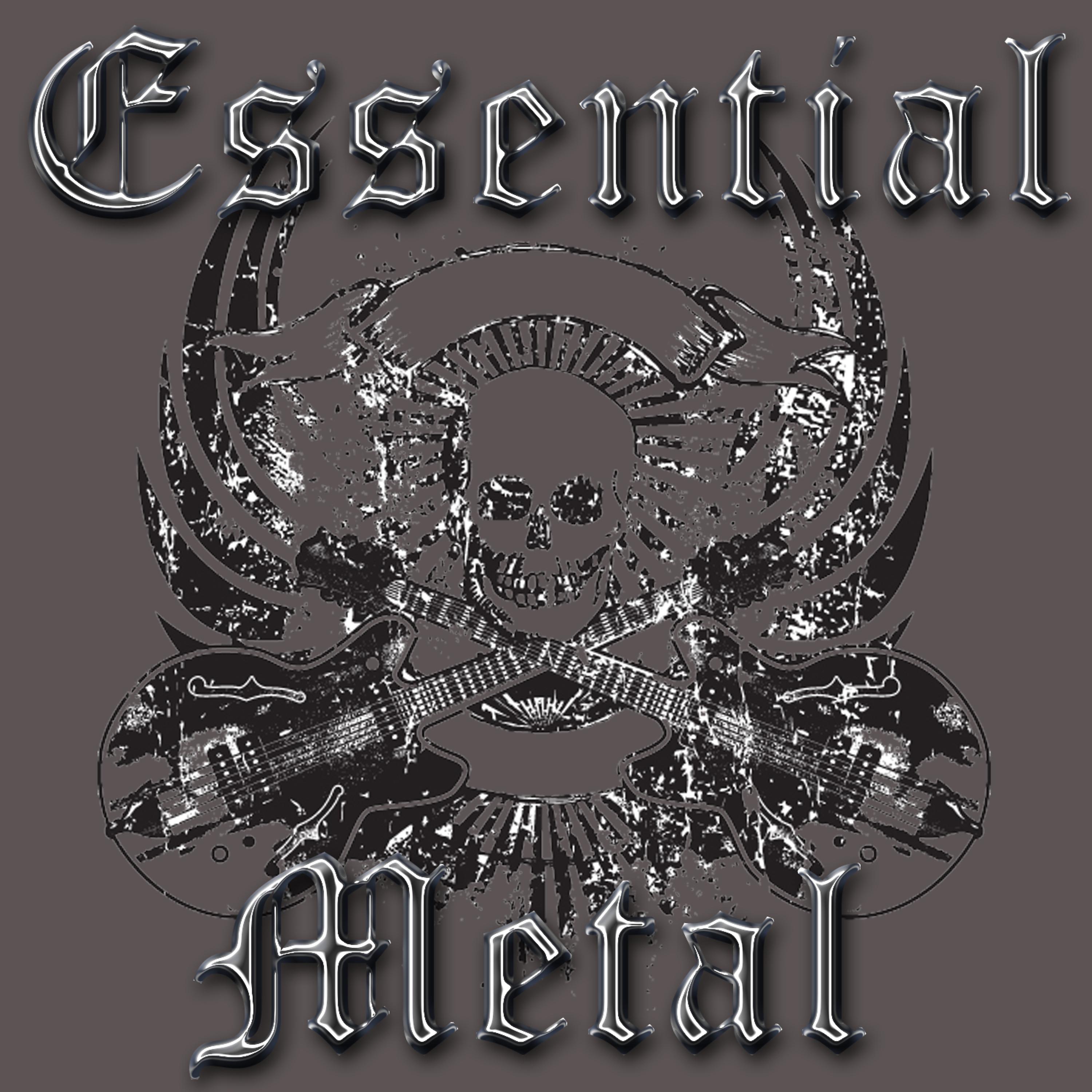 Постер альбома Essential Metal
