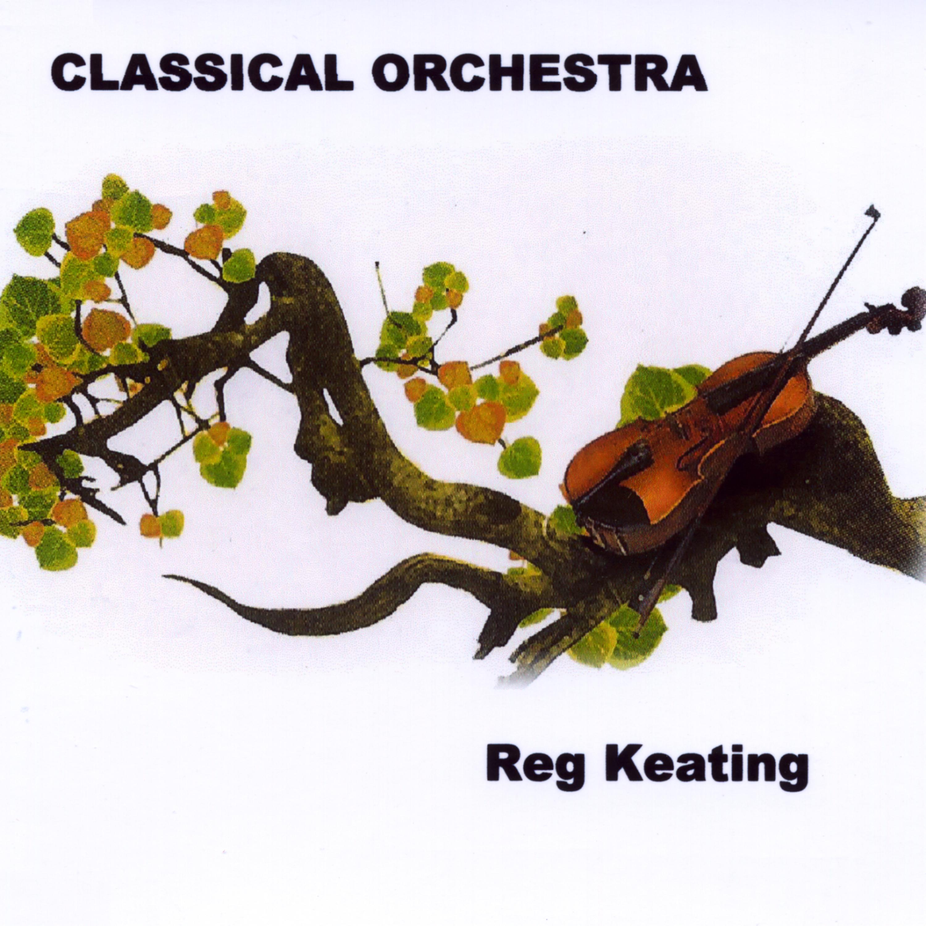 Постер альбома Classical Orchestra