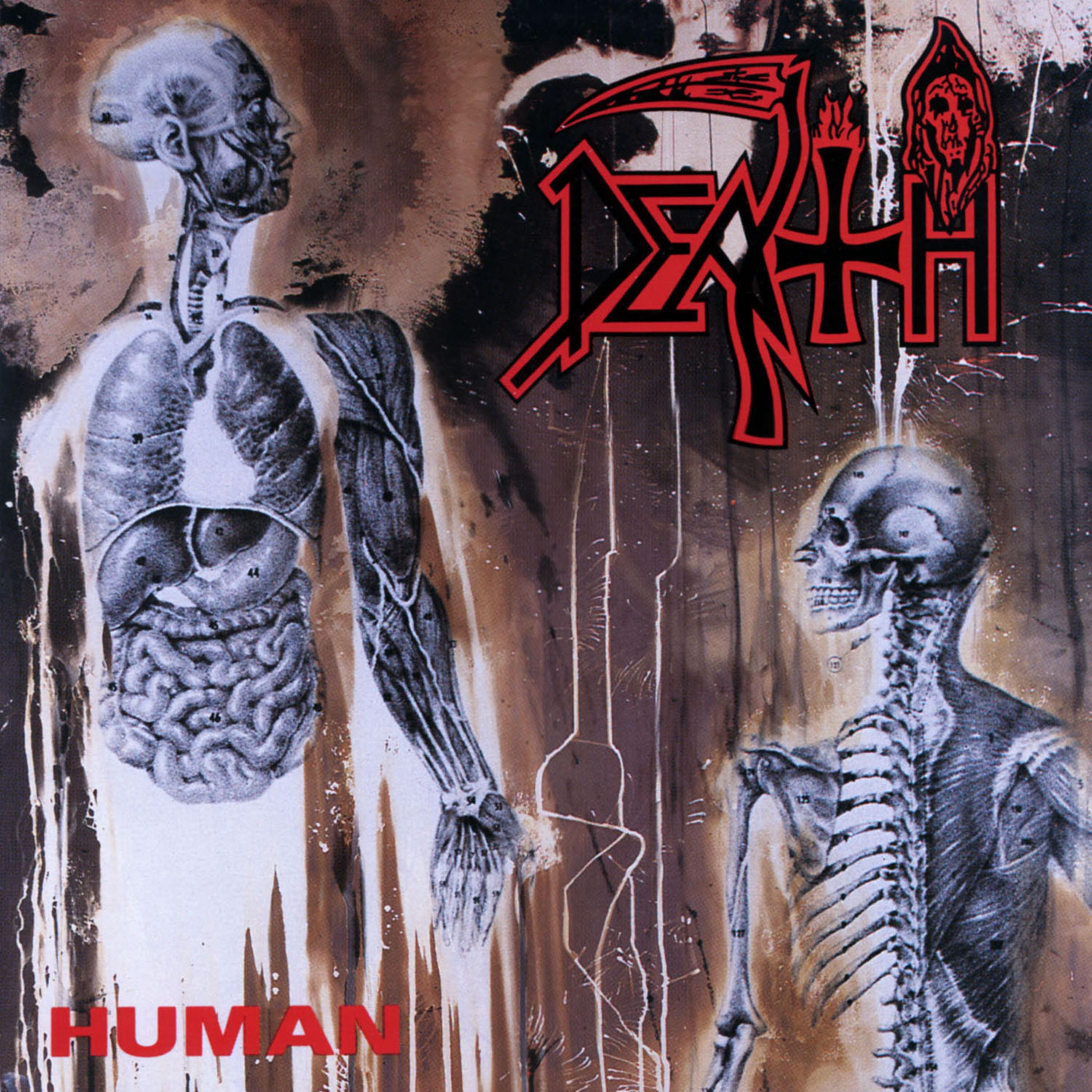 Постер альбома Human (Deluxe Version)