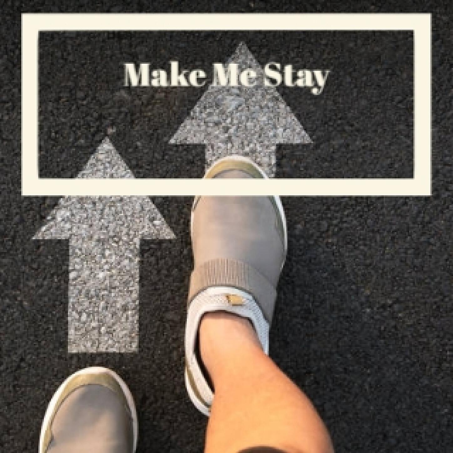 Laurie Ann Fessler - Make Me Stay