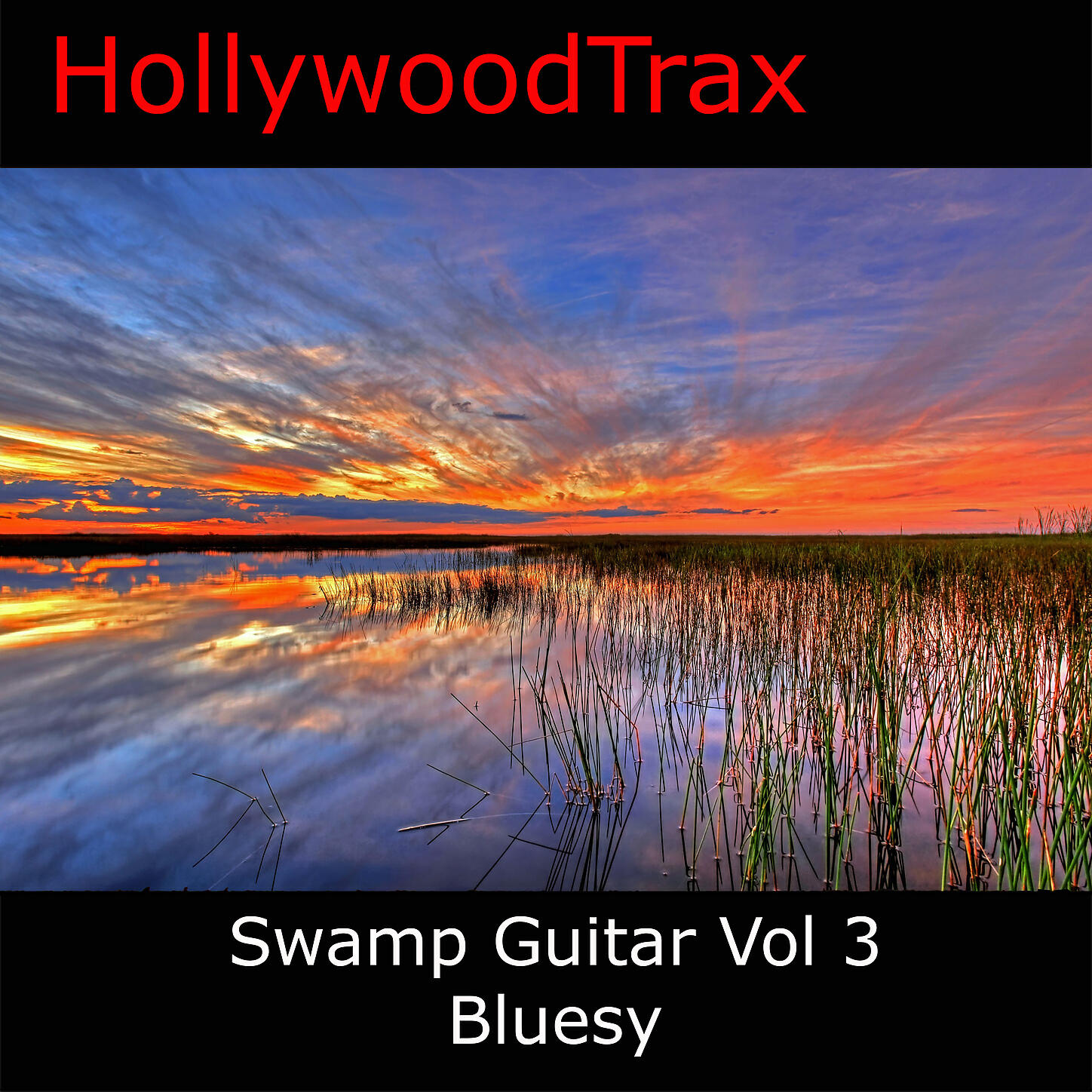 Mark J Smith - Swamp Jam