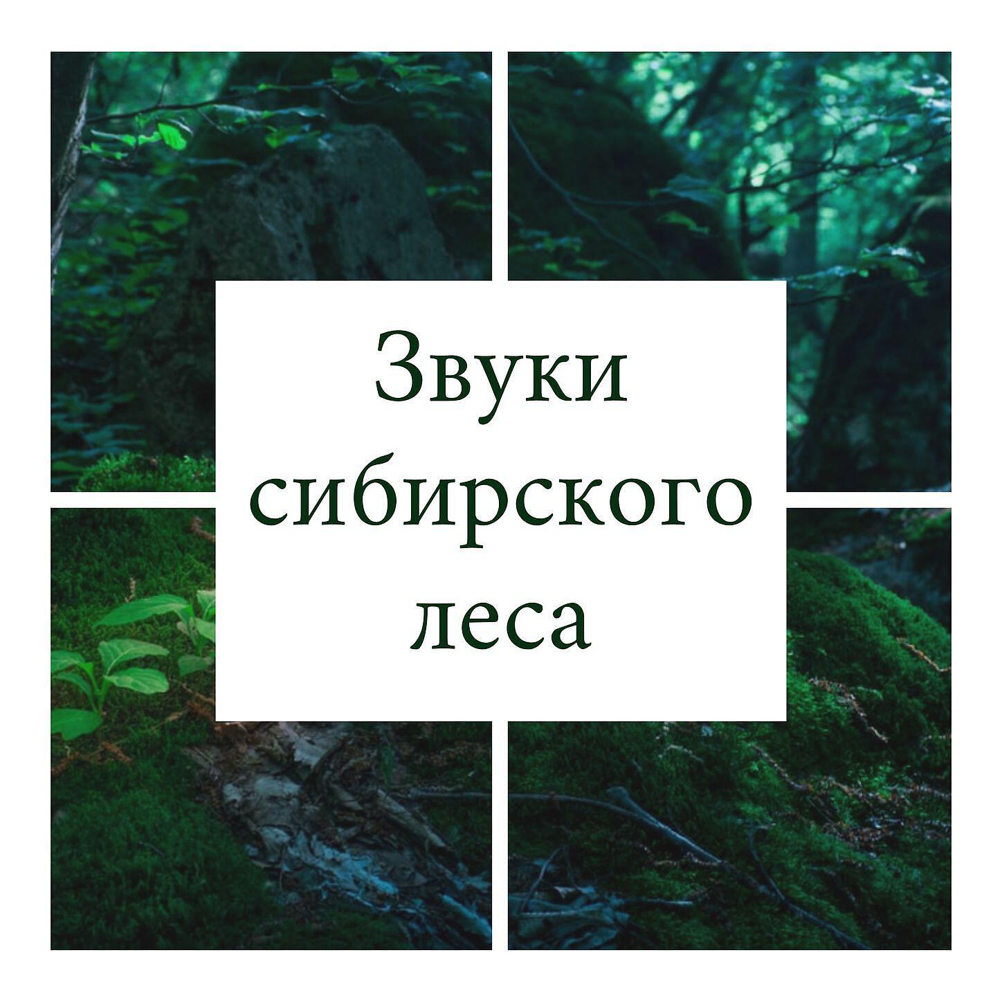 Александр Кузнецов - Пейзаж