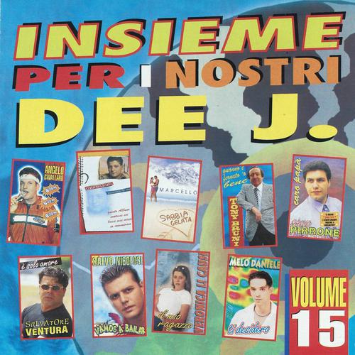 Постер альбома Insieme per i nostri Dee J., vol. 15