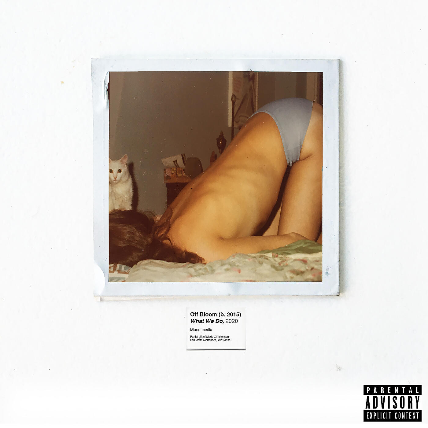 Off Bloom - What We Do