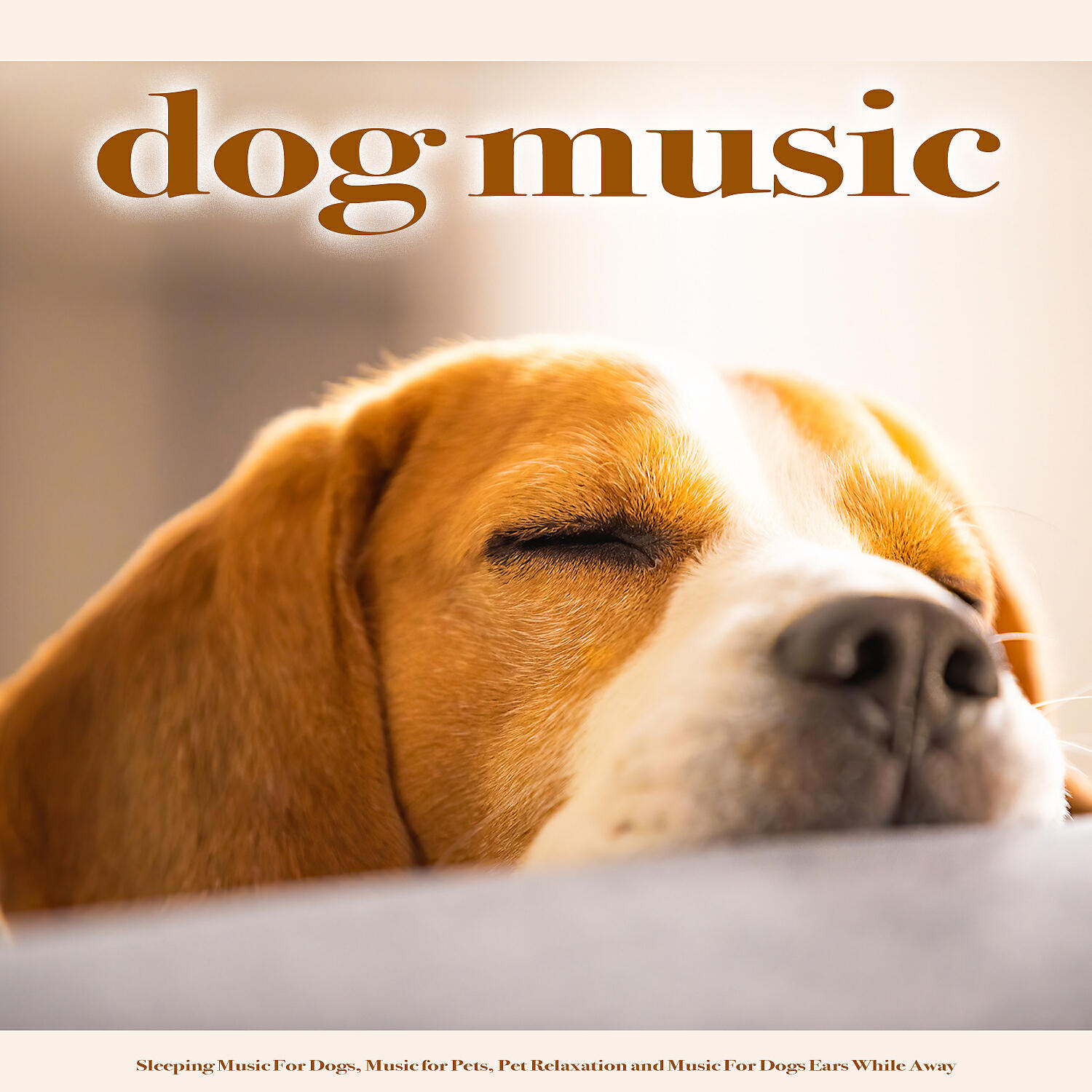Sleeping Music For Dogs - Dog Music Playlist
