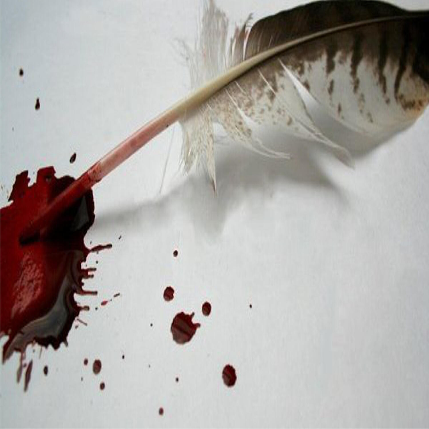 Andboo - Tried To Tell You