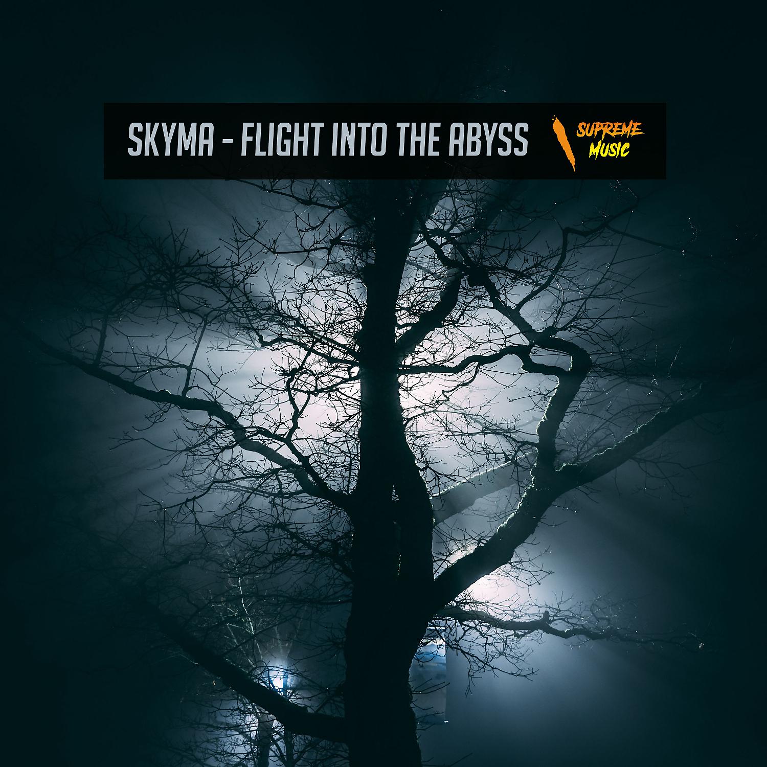 Постер альбома Flight Into The Abyss