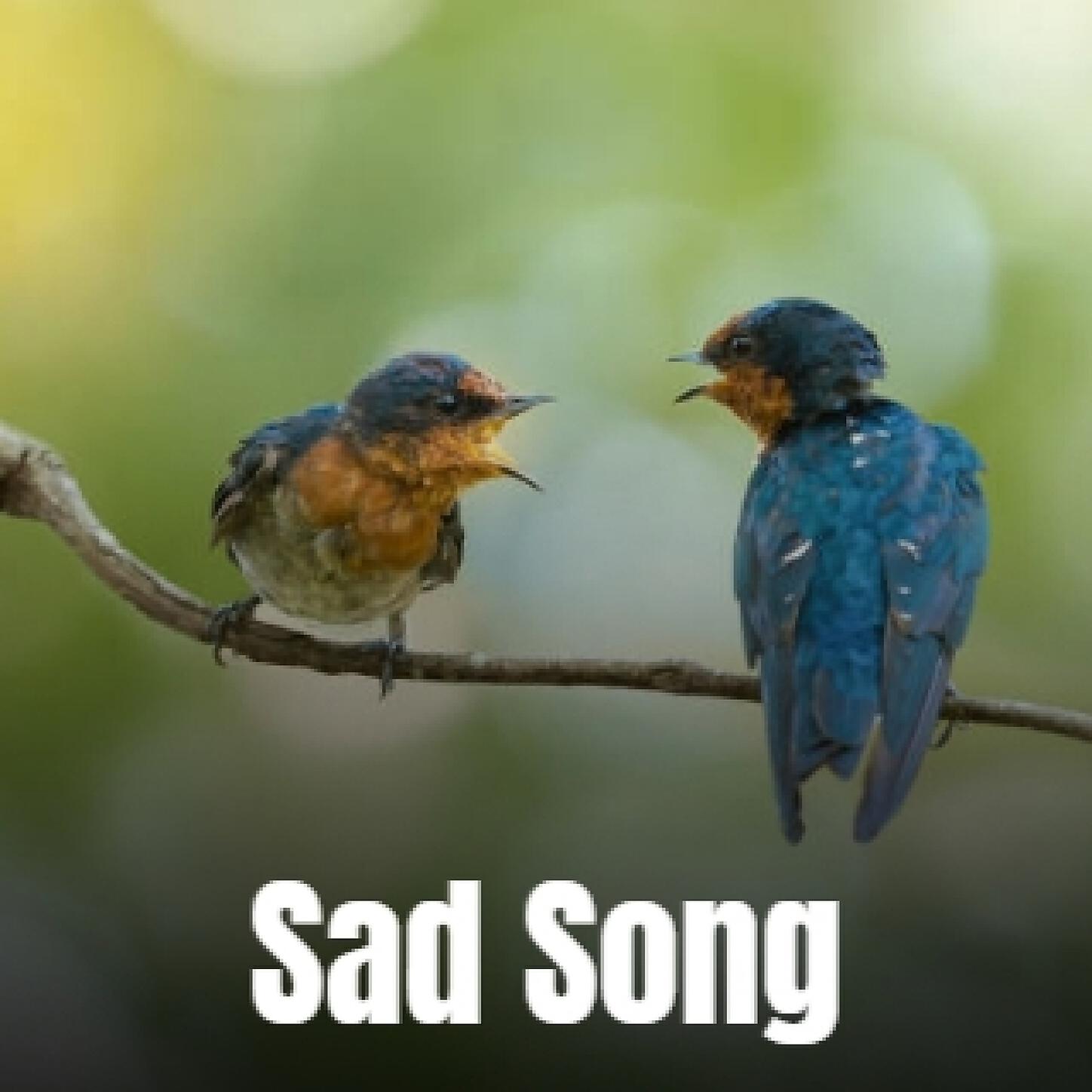 Arthur Richardson - Sad Song